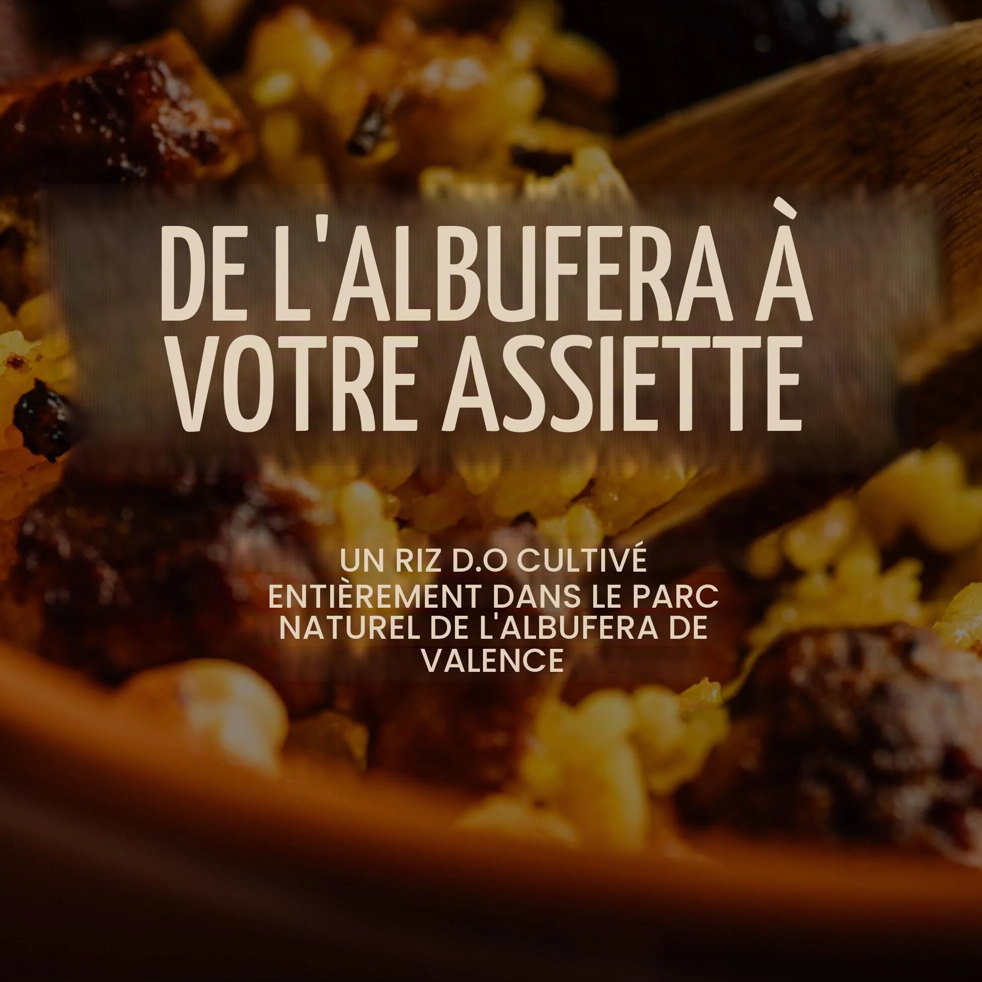 EL PAELLER - Riz Paella | Variété Albufera D.O.Valencia | Idéal pour les paellas et les plats de riz | Paquet de 3 unités de 1kg.
