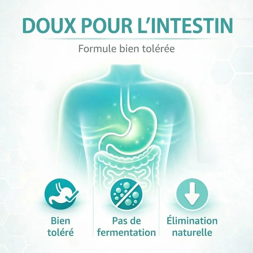 GiDeli érythritol 2 kg, substitut de sucre granulé sans calories, alternative végétalienne et amie des dents