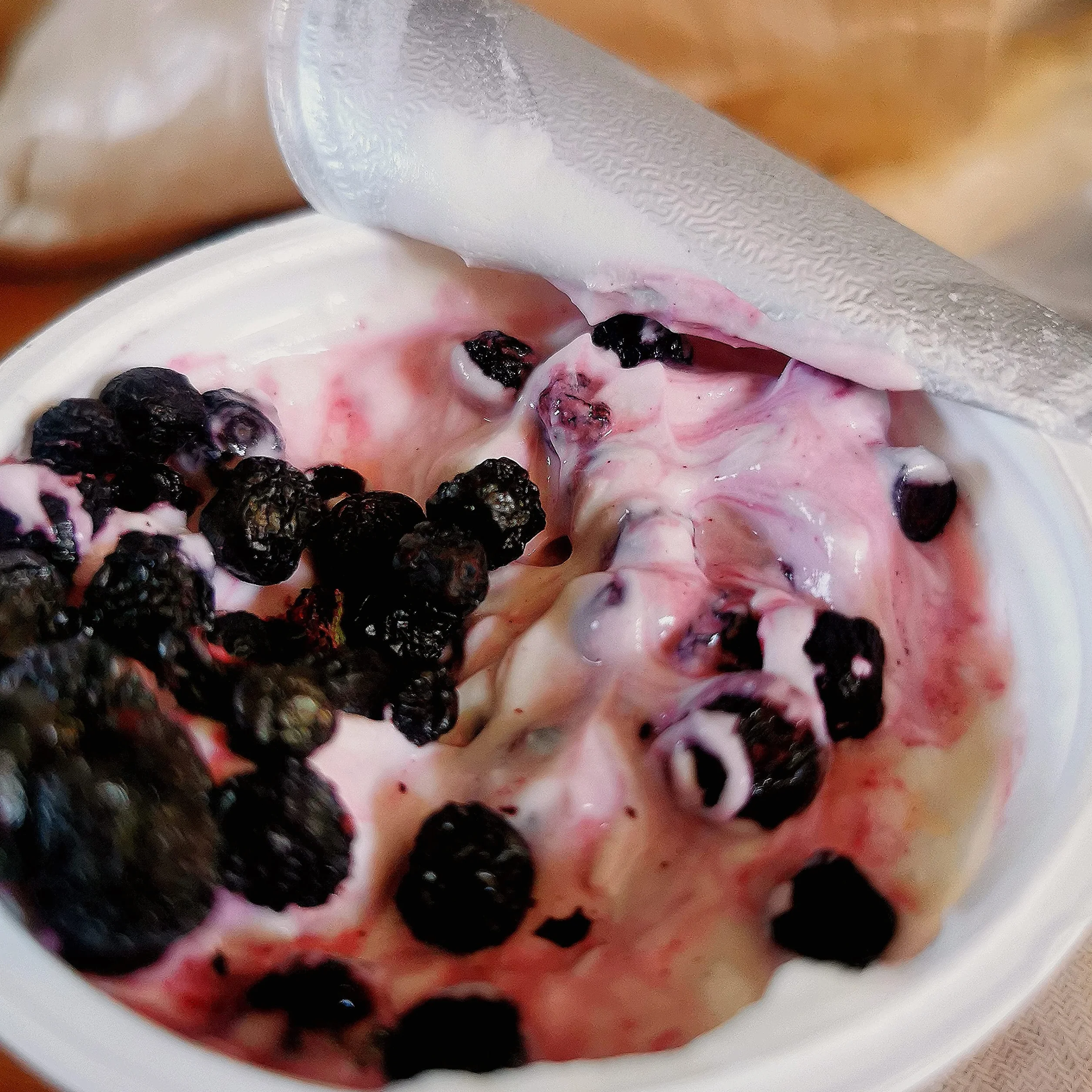 Myrtilles Séchées Bleuet Sauvage | Naturel Fruits Seche | Freeze Dried Fruit Wild Blueberries | Gefriergetrocknete wilde Heidelbeeren | Myrtilles Sechees ZingyZoo (100g)