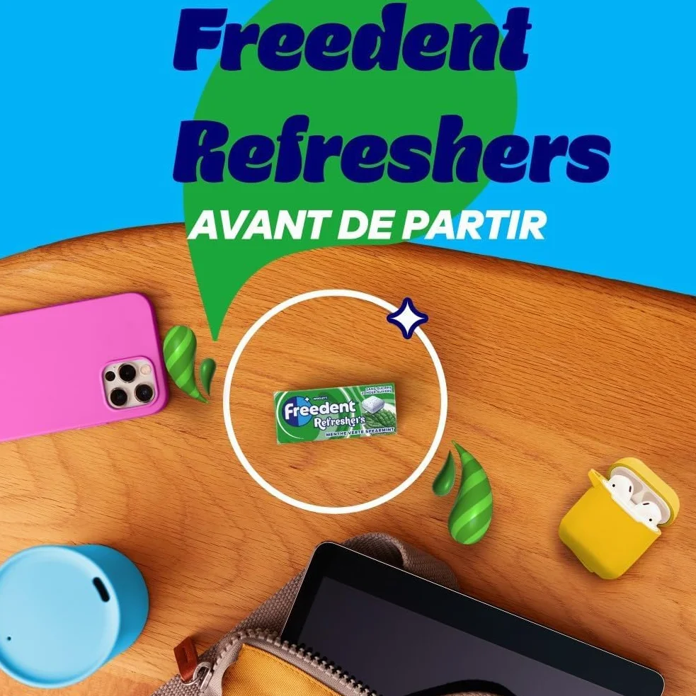 FREEDENT REFRESHERS Chewing Gum Sans Sucre Goût Menthe Verte 12 Paquets 96 Dragées
