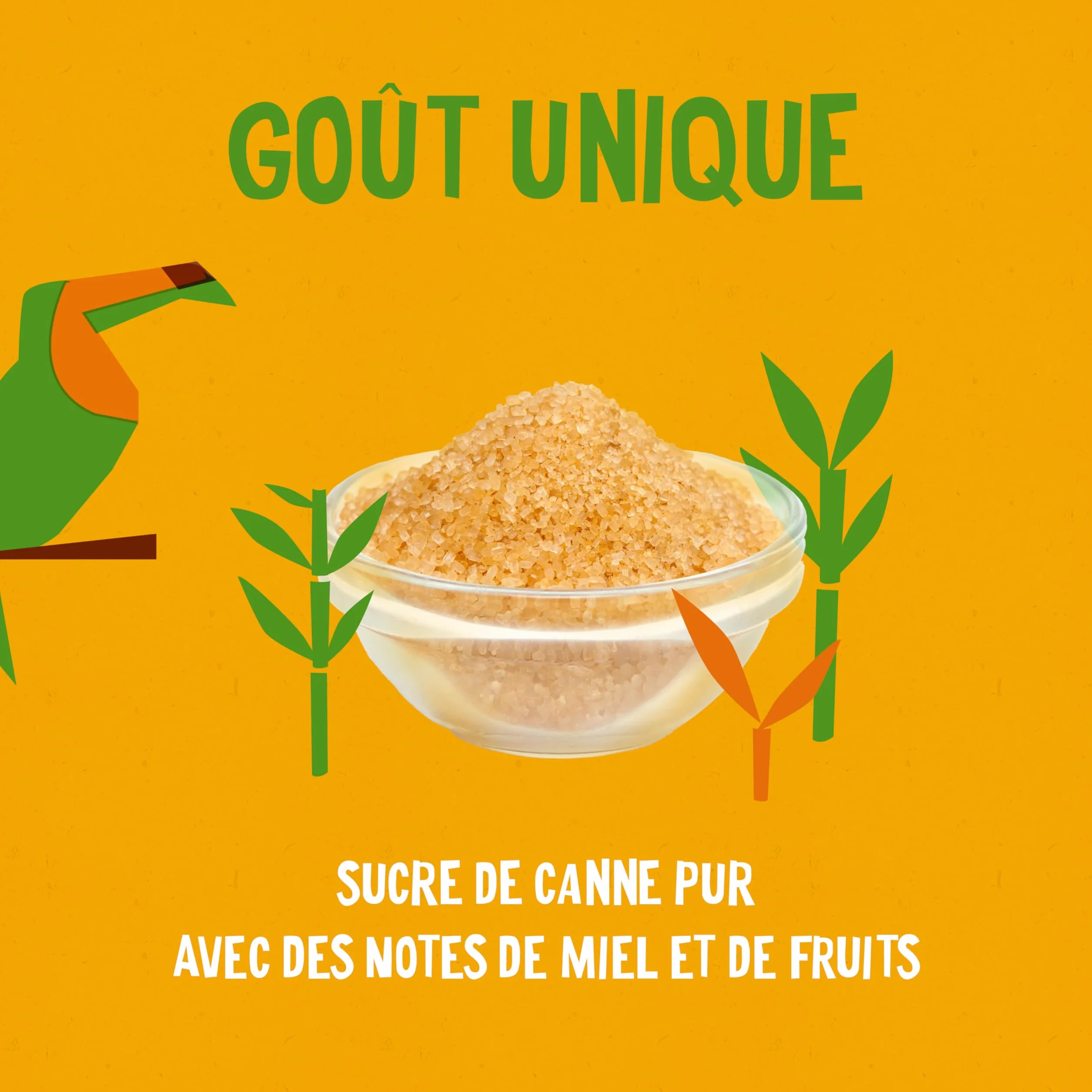 ALTER ECO - Sucre de Canne de Colombie - Sucre Complet Bio et Équitable - Origine Colombie - 400 g