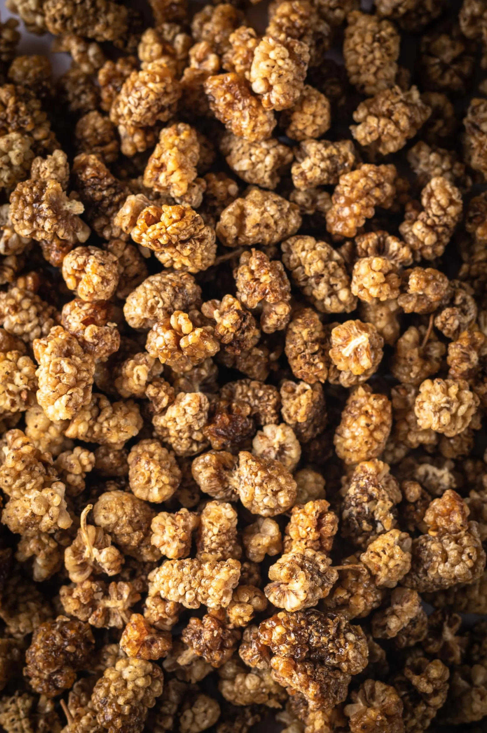 Biojoy Mûres blanches séchées BIO (1 kg), entières et non-soufrés