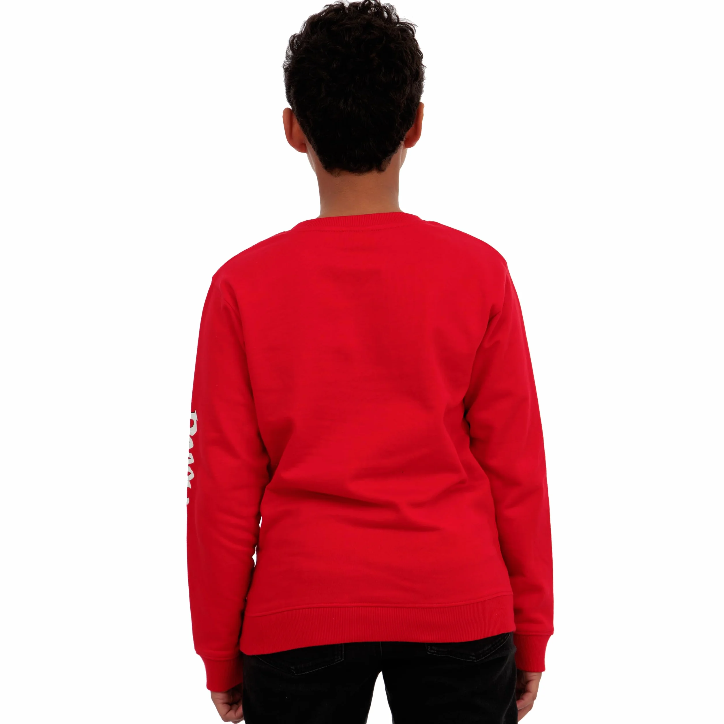 Poppy Playtime Pull Garçon, Sweatshirt Huggy Wuggy, Coton Rouge Manches Longues