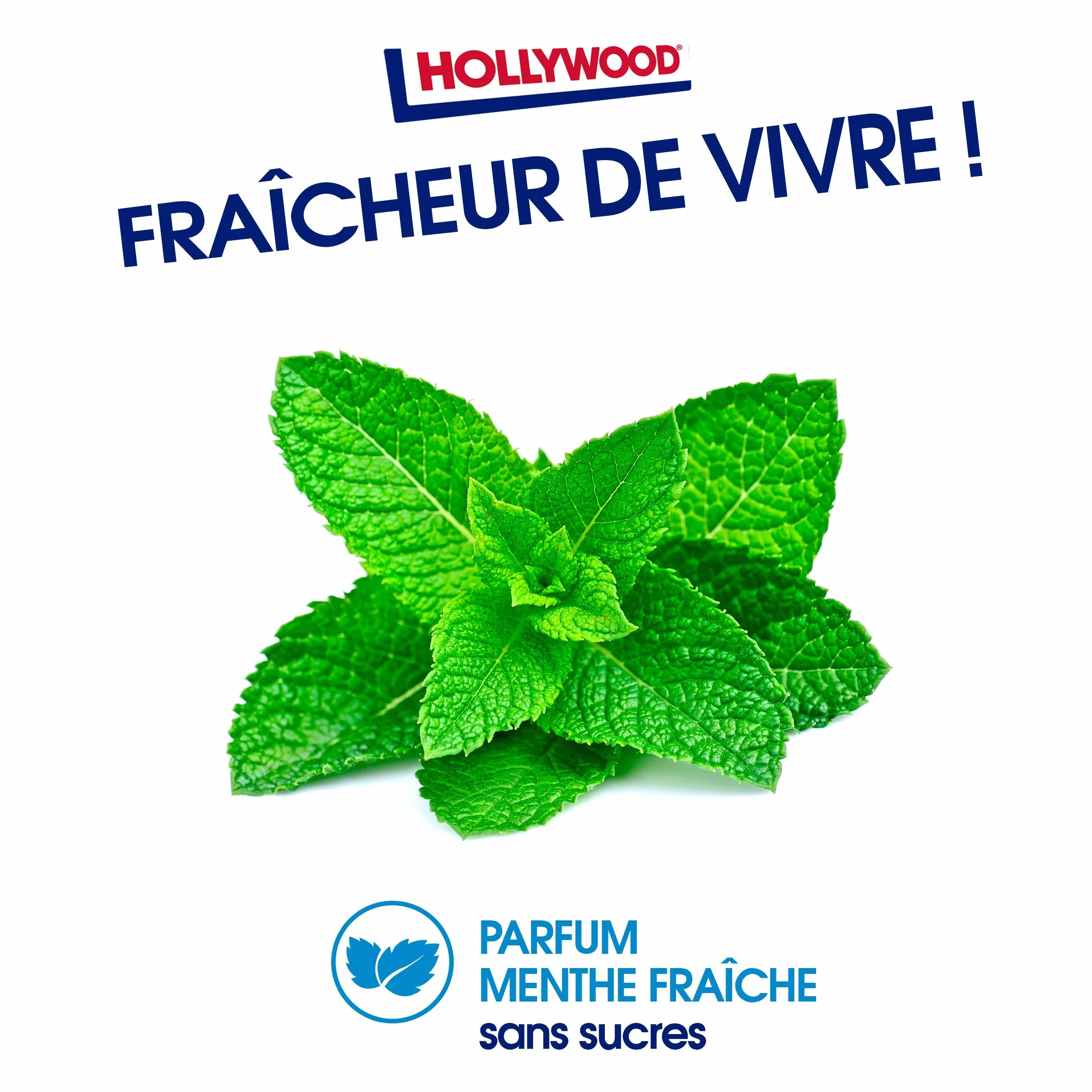 Hollywood Chewing Gum Ice Fresh Menthe Fraîche Sans Sucres Lot de 20 paquets 10 dragées 14 g