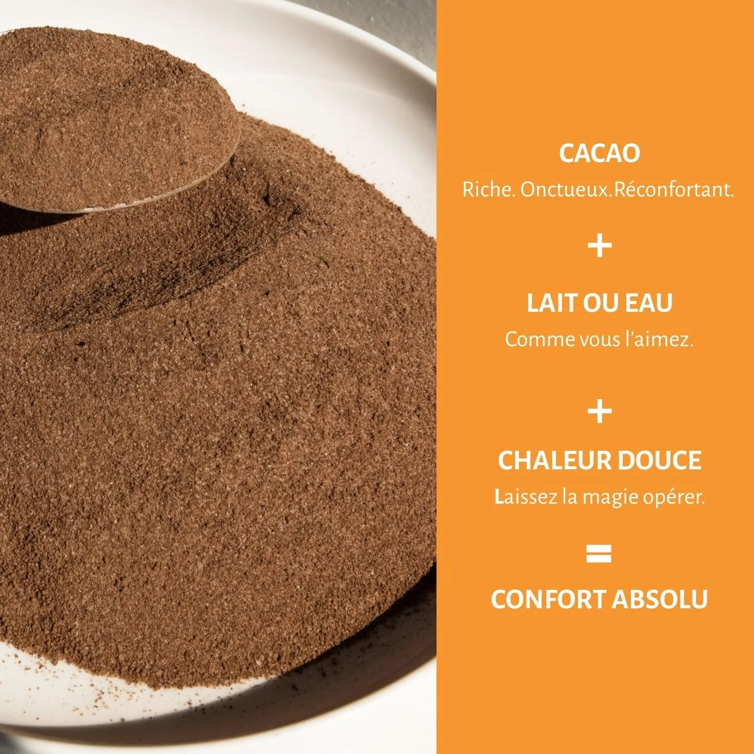 Fountain - Cacao en poudre - Compatible avec toutes les machines tables top et les distributeurs automatiques, à mélanger avec de lʼeau ou dulait - 1 KG