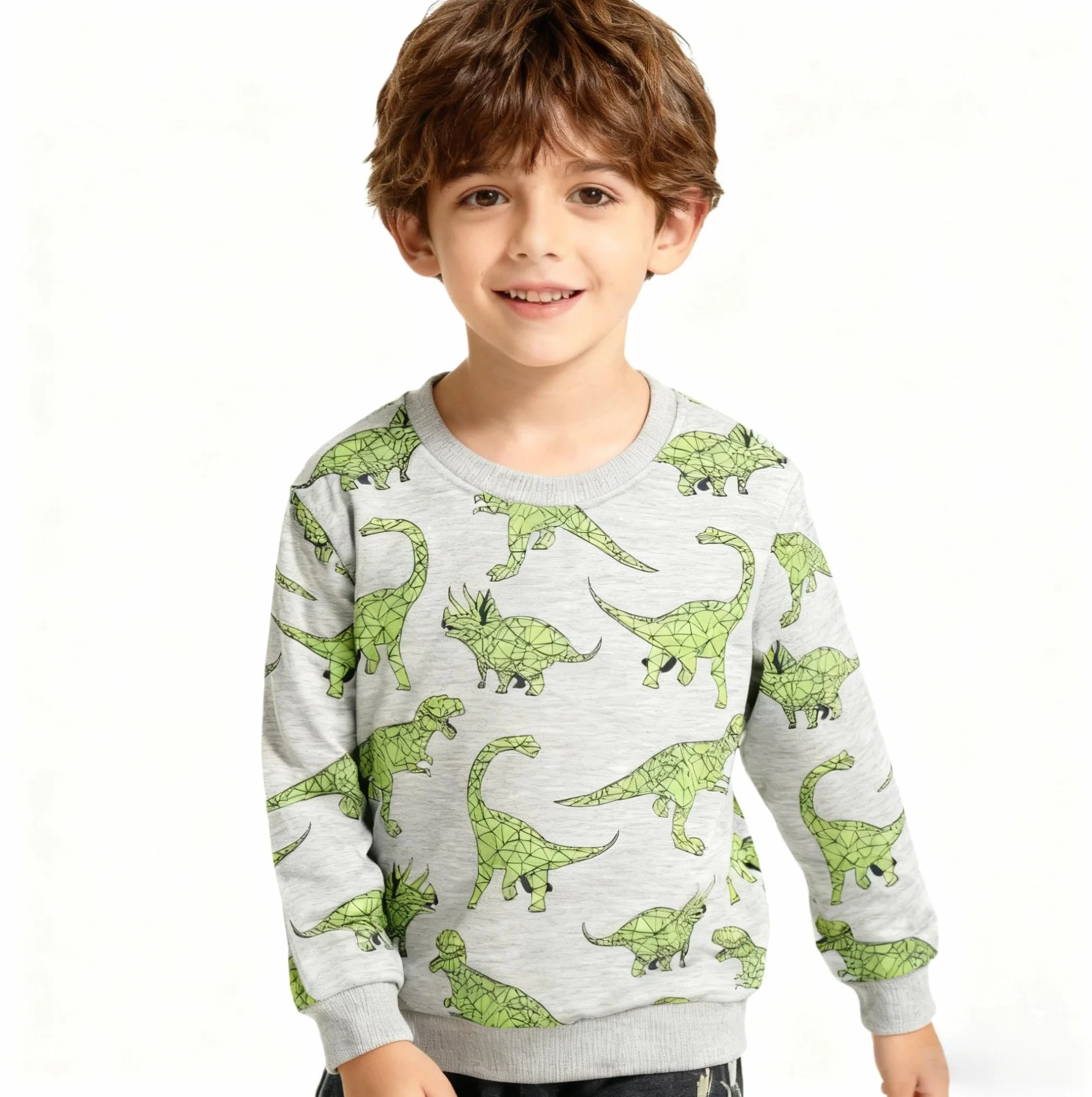 Sweatshirt Garcon Pull Enfant Dinosaure Manches Longues Coton 2-7 Ans