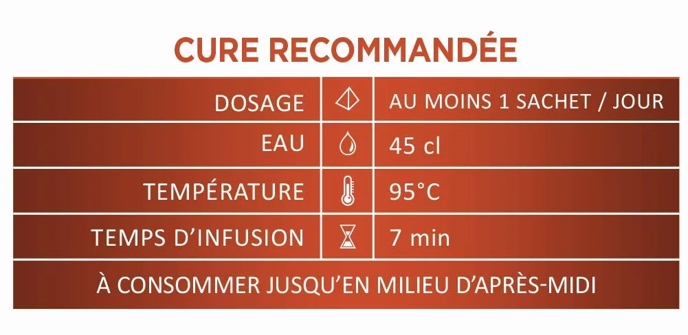 Thés de la Pagode - Thé Yelong Bio - Thé Bio Wulong au ginseng - Vitalité - Boîte infusettes de 30 infusettes