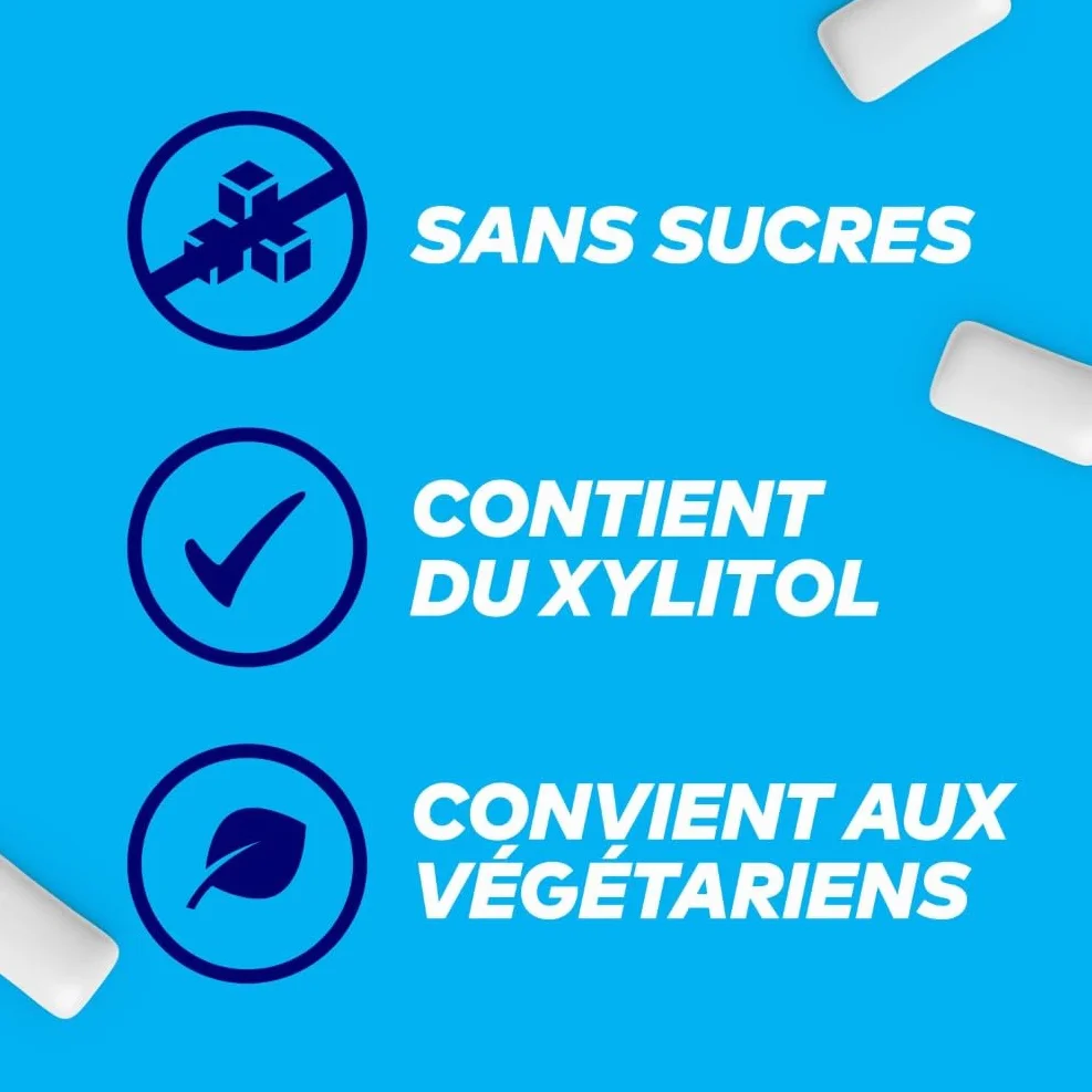 FREEDENT Chewing Gum Sans Sucre Goût Fraise 5 Paquets 70g