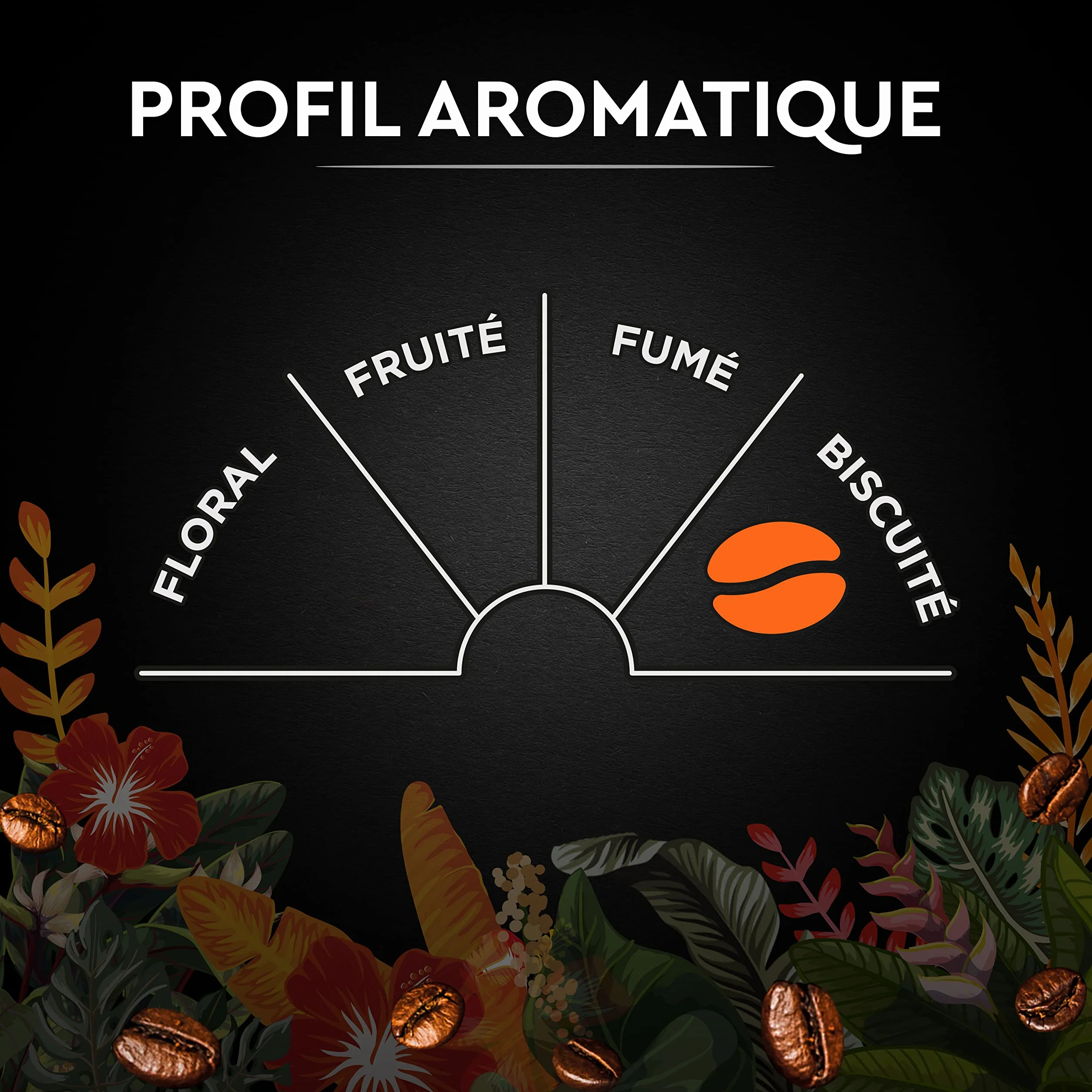 CARTE NOIRE - Café Grain Carte Noire Secrets de Nature - Catuai Romex - Certifié Rainforest Alliance - Paquet de 1 kg