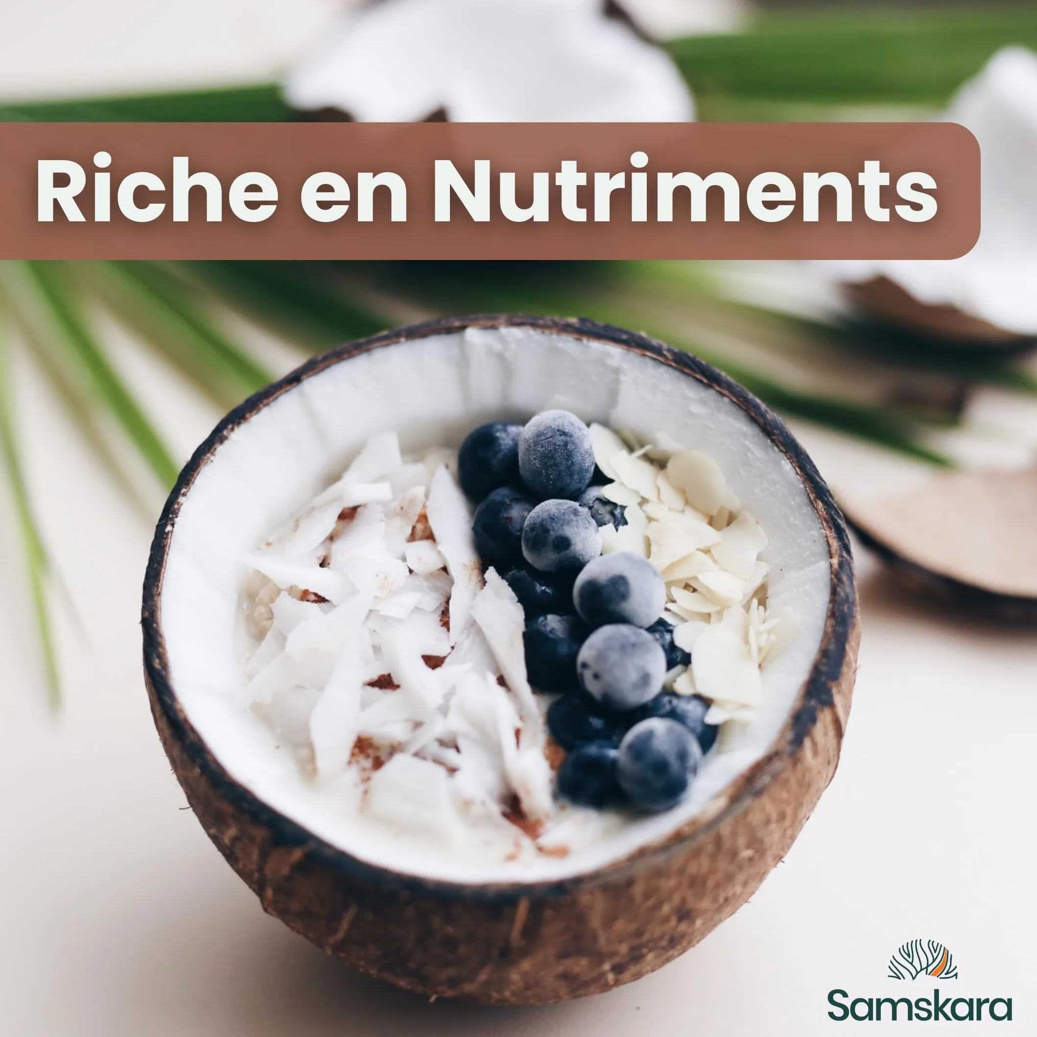 Poudre de lait de coco 90% Coco | Biologique BIO | Vegan | Sans Gluten | Samskara (500g) - Idéal pour la cuisine