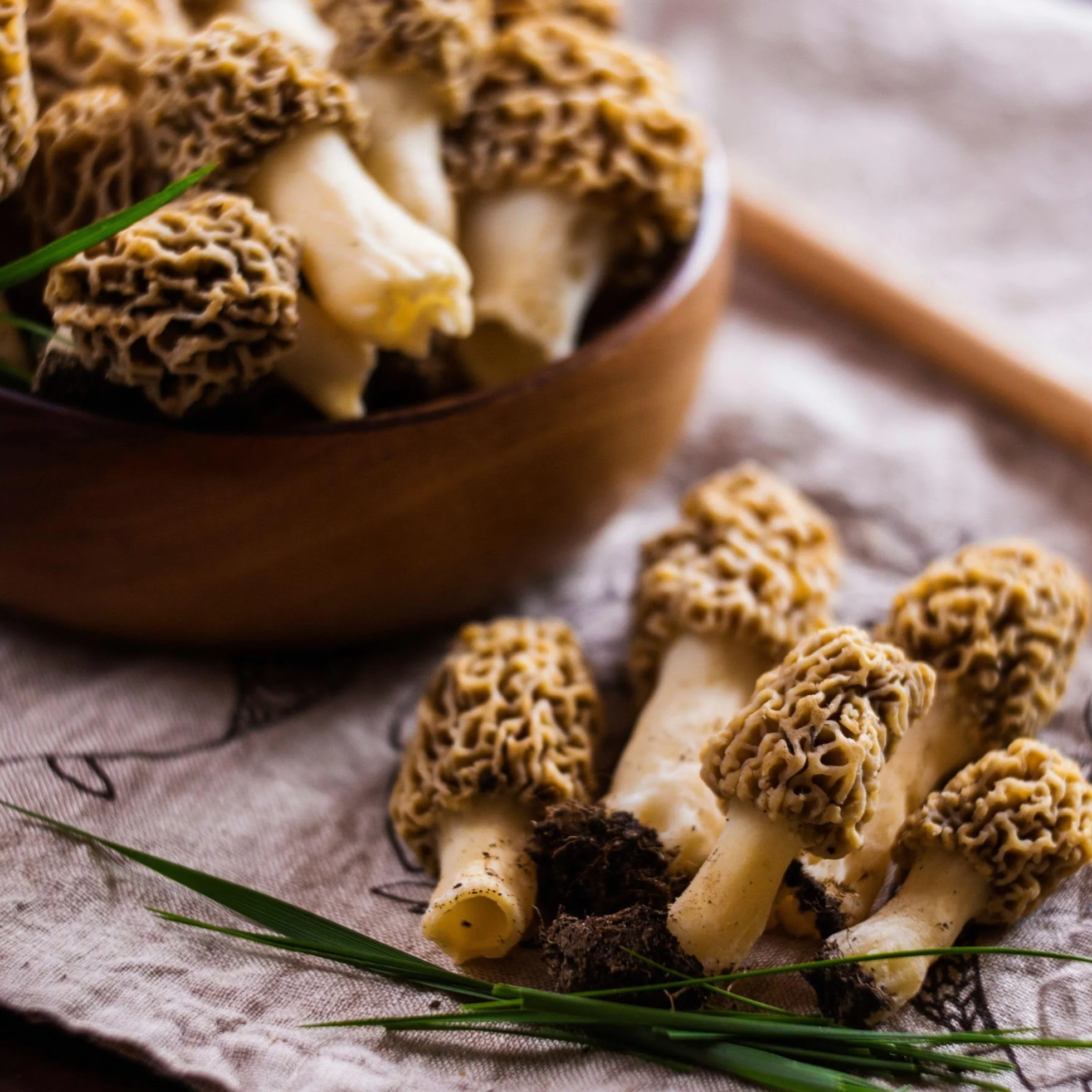 IDDA Herbal Morilles Séchées 100g, Morilles Pointues Deshydratées, Champignons Séchées, Morchella