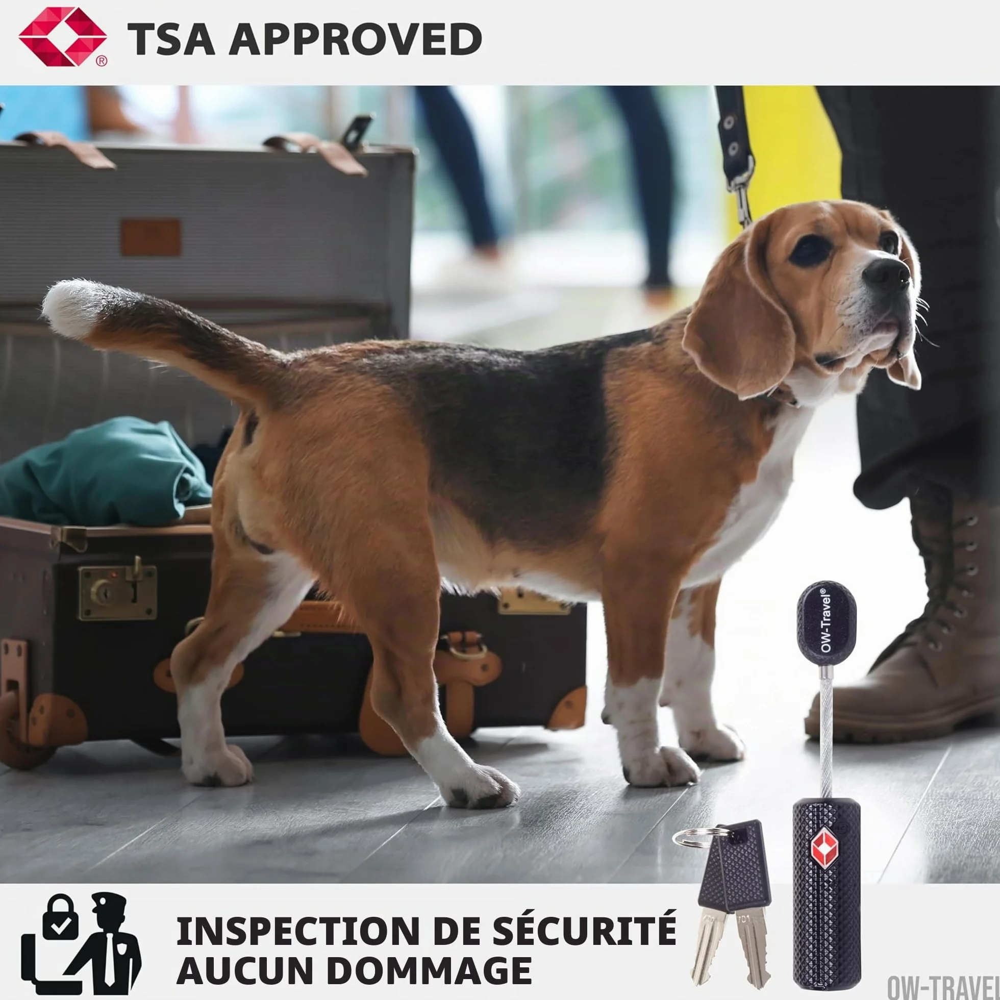 Cadenas Cable TSA 007 pour Valise Bagages Antivol Voyage