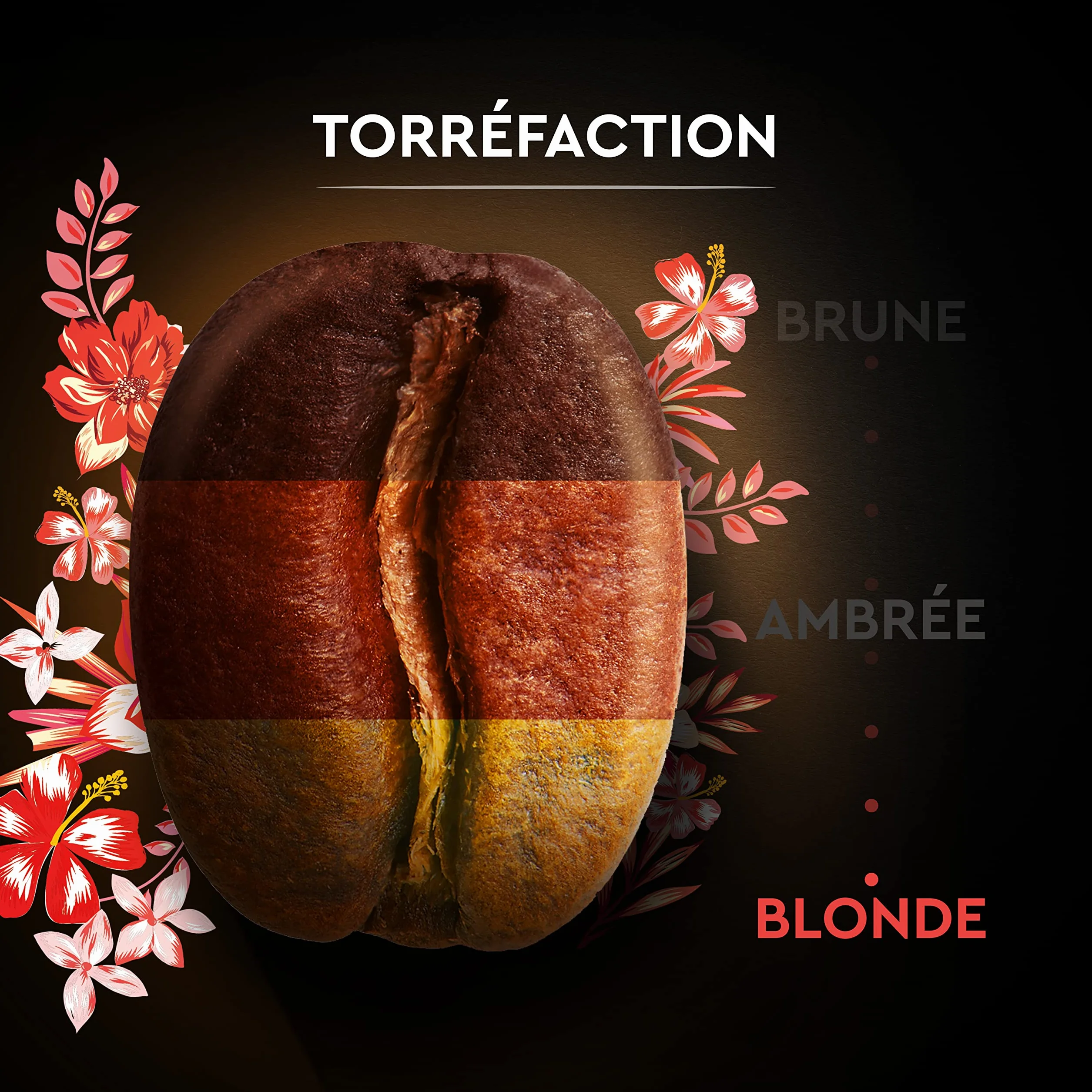 Carte Noire - Grains bio Honduras - Paquet de 1 kg