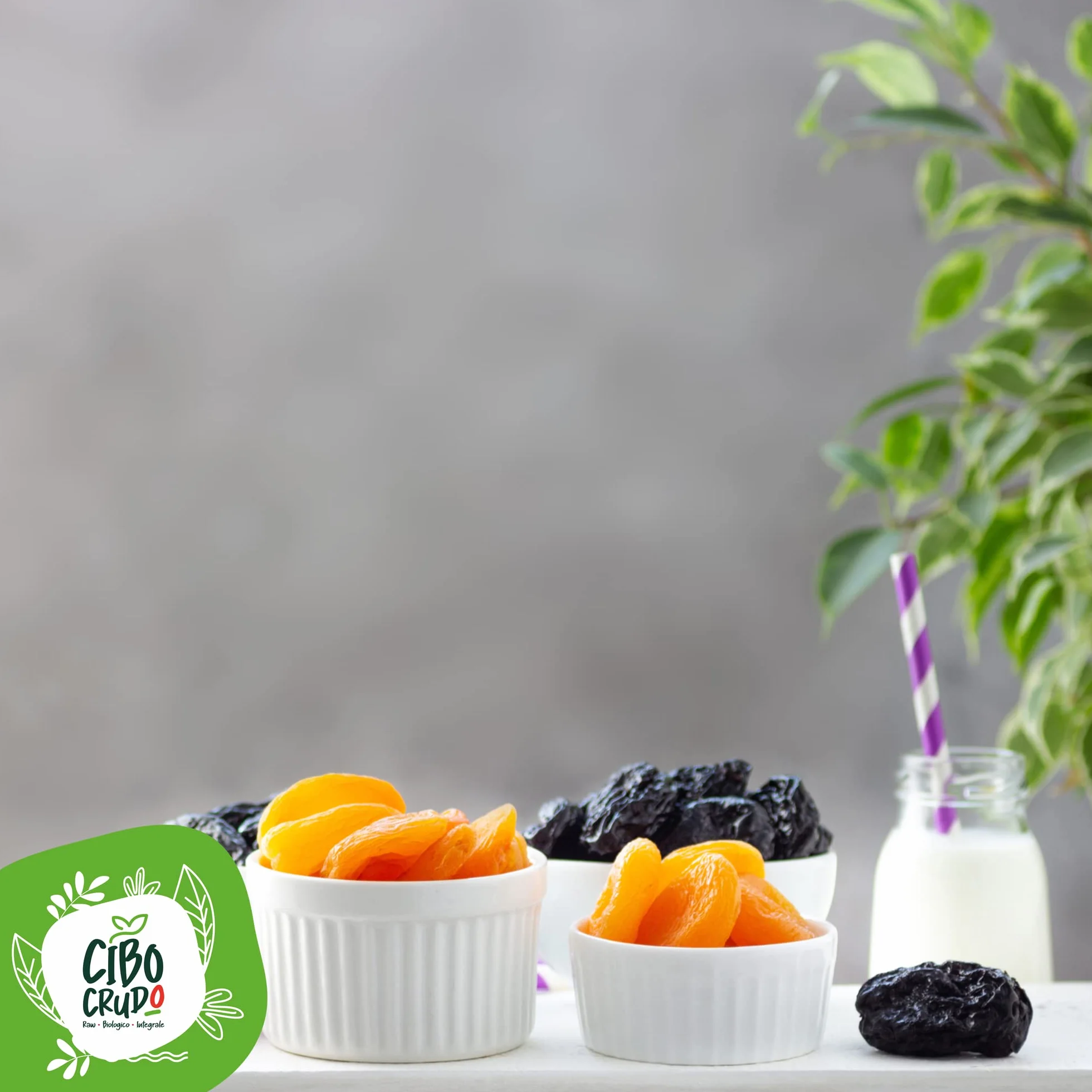 Pruneaux d'Agen Denoyautes Bio - 250g. Pruneaux Dénoyautés Crue non Traité Sans Sucre Ajouté. Source de Fibres et Vitamines A B et K. A Ajouter à Muesli et Céréales ou Tisanes et Infusions.