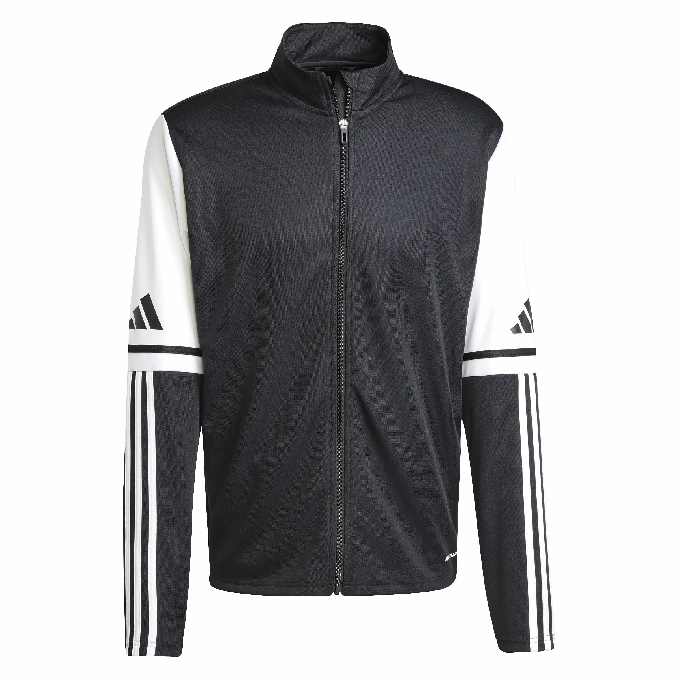 Adidas Homme SQUADRA25 PRESENTATION JACKET