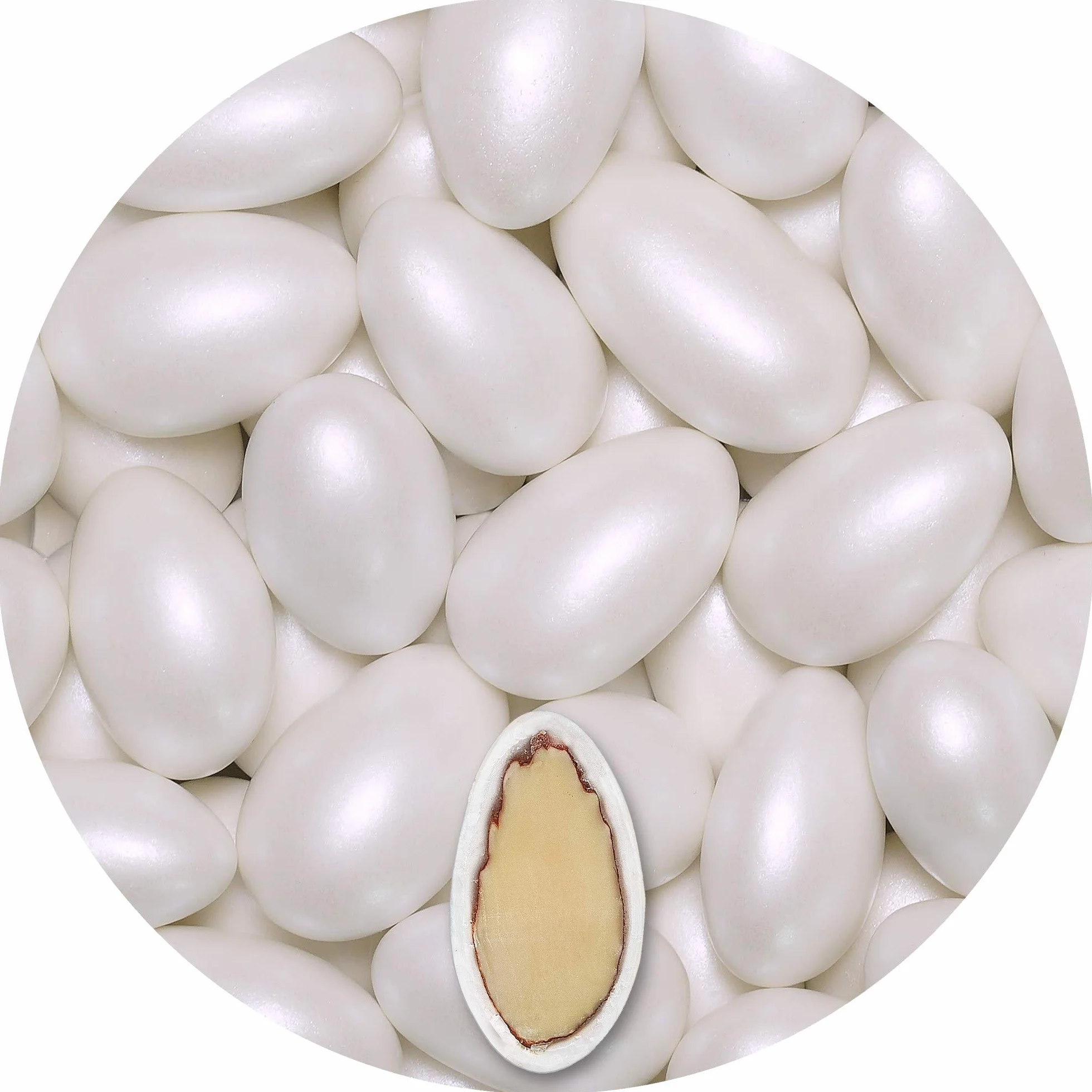 EinsSein 1kg Dragées Mariage Amandes Conchiglia blanc perle | ca. 280 pièce Dragees Mariage Baptême Communion Célébrer Fête Candybar | Confiserie Candy Bar | Cadeaux Invités | Bonbons Amande Premium