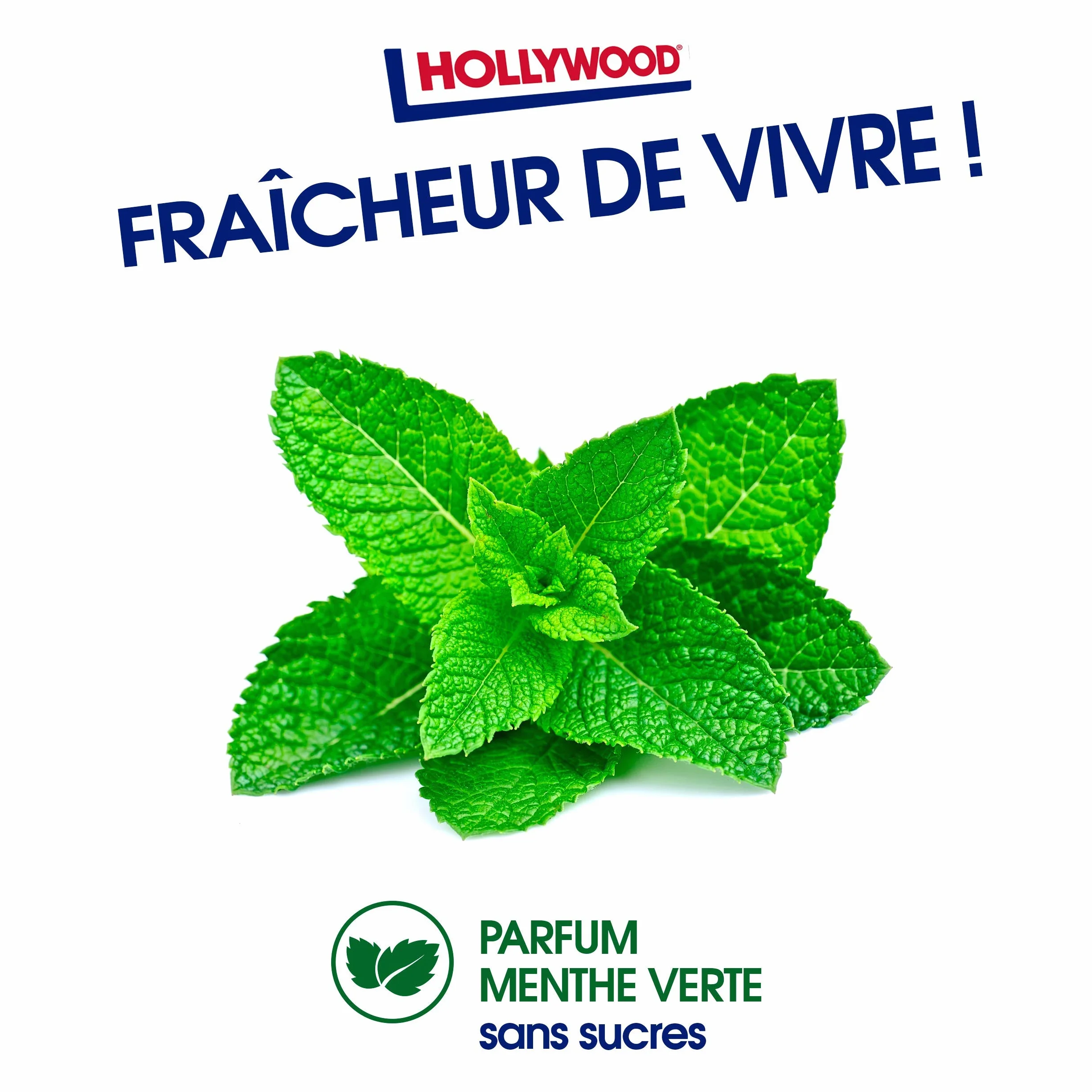 Hollywood Chewing Gum Green Fresh Parfum Menthe Verte Sans Sucres Lot de 6 boîtes 60 dragées 87 g