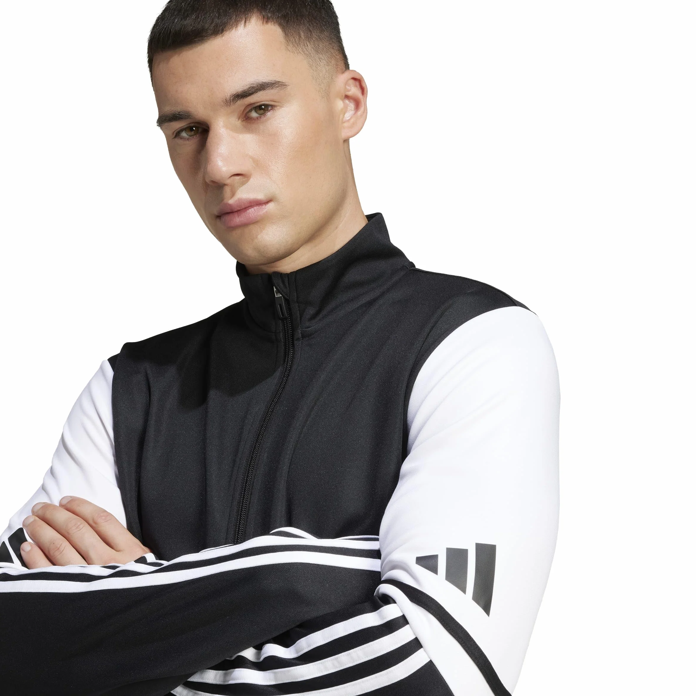 Adidas Homme SQUADRA25 PRESENTATION JACKET