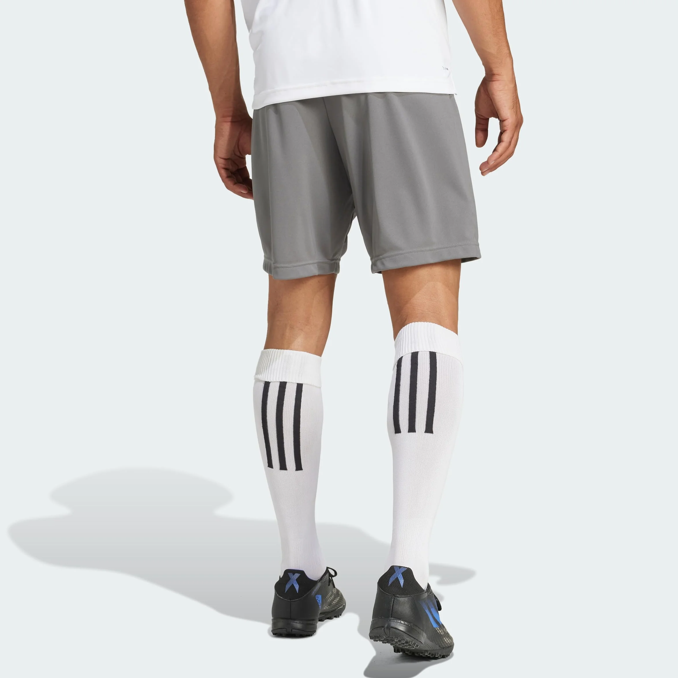 Adidas Homme Entrada 22 Shorts