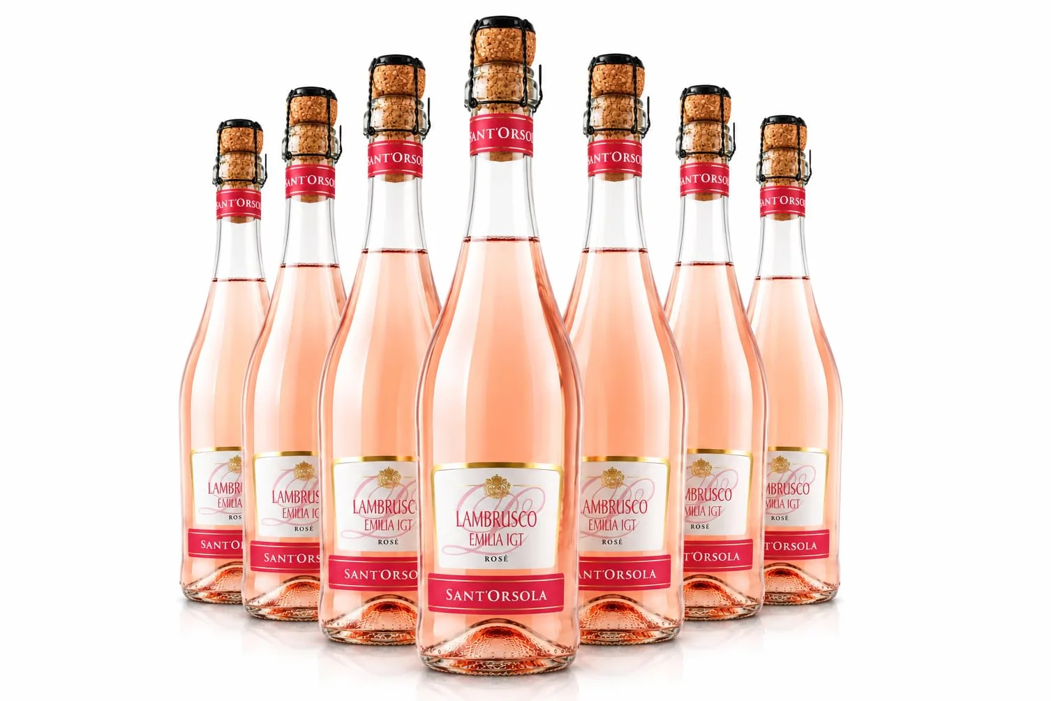 Sant'Orsola Lambrusco Emilia I.G.T. Rose Frizzante Sec Vin Petillant Italien Set de 6 Bouteilles x 75 cl