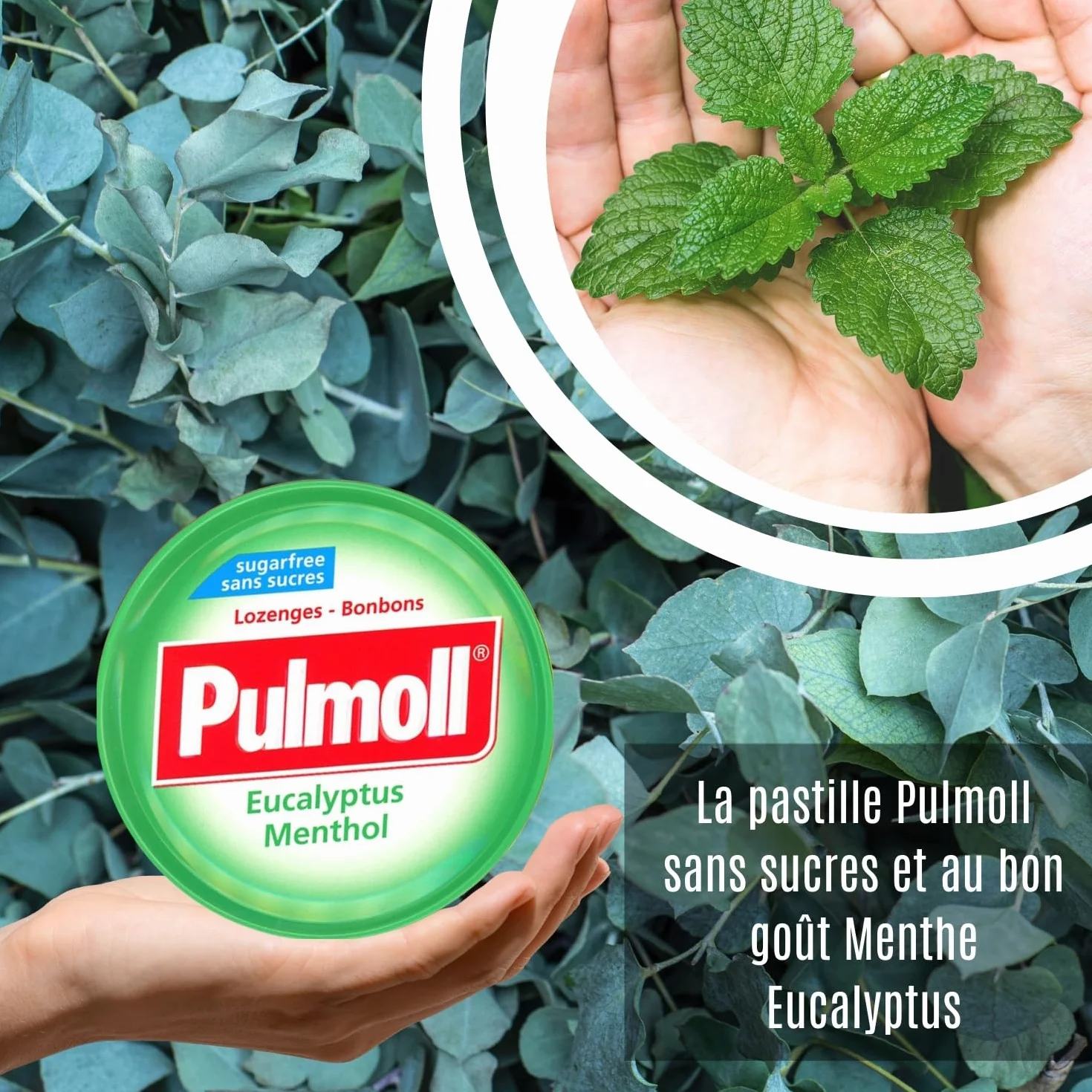 Pastille Pulmolll menthe eucalyptus lot 5 boites
