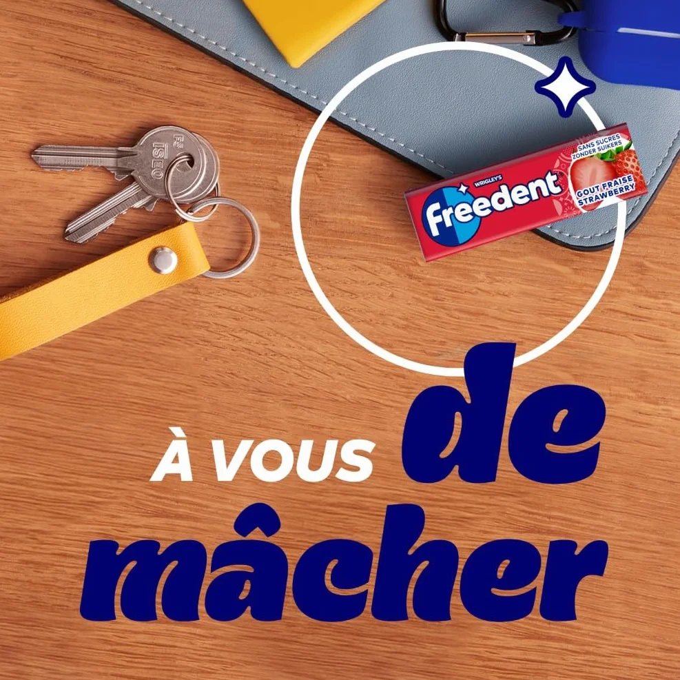 FREEDENT Chewing Gum Sans Sucre Fraise 30 Paquets 300 Dragées 420g