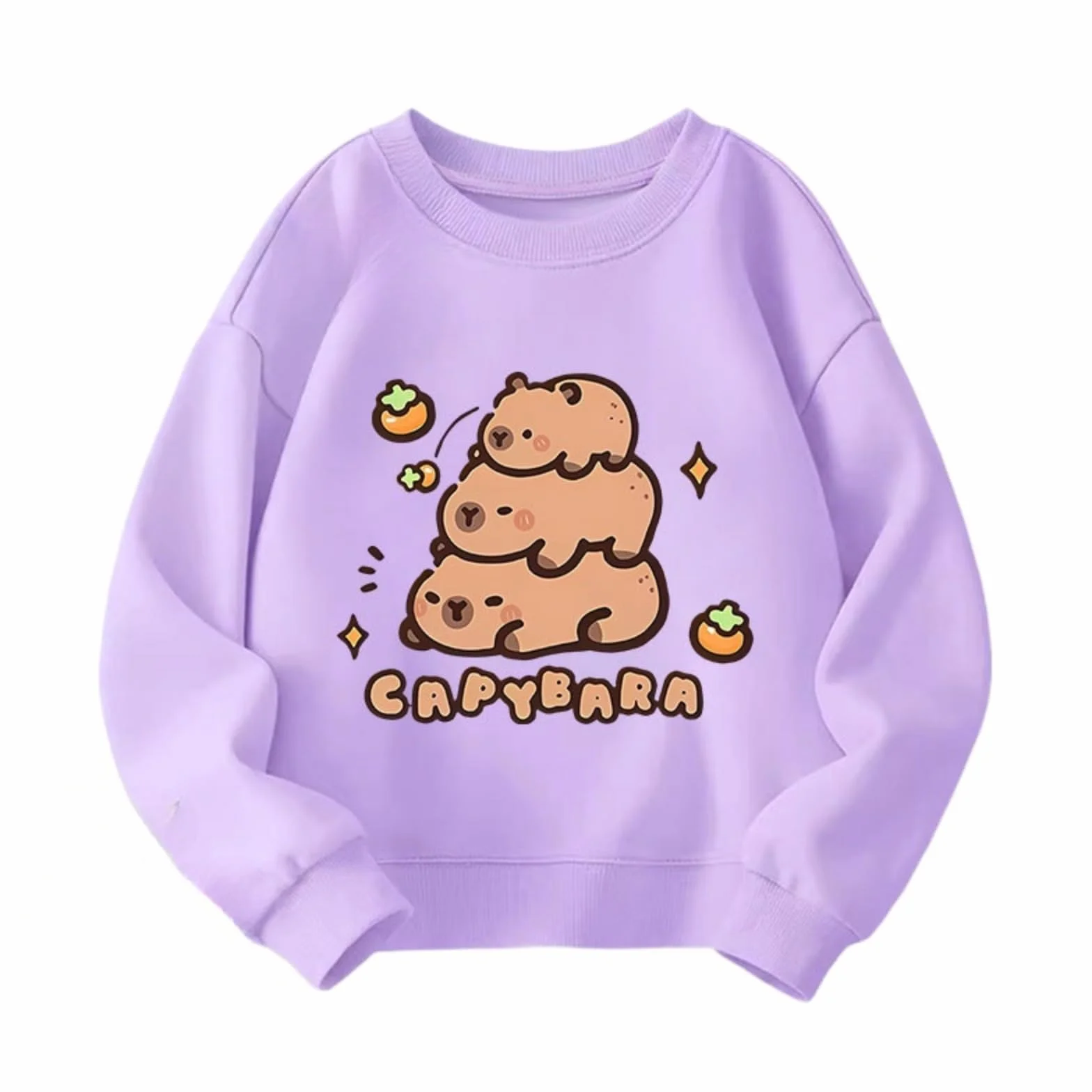 Sweat-Shirt Enfants Capybara Dessin Animé Pull Col Rond École Primaire Chandail Garçons Filles