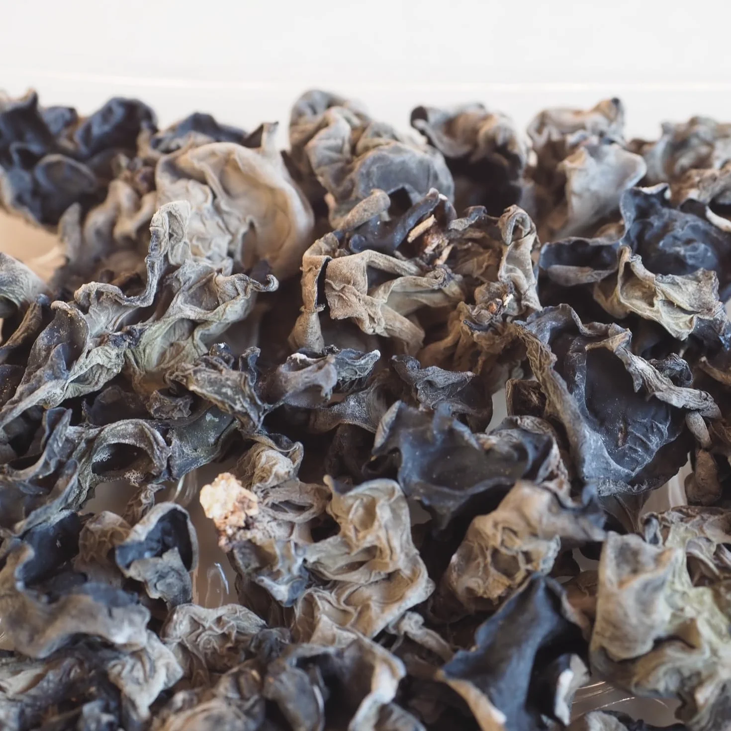 Champignons Noir Déshydratés - Mountains 100g