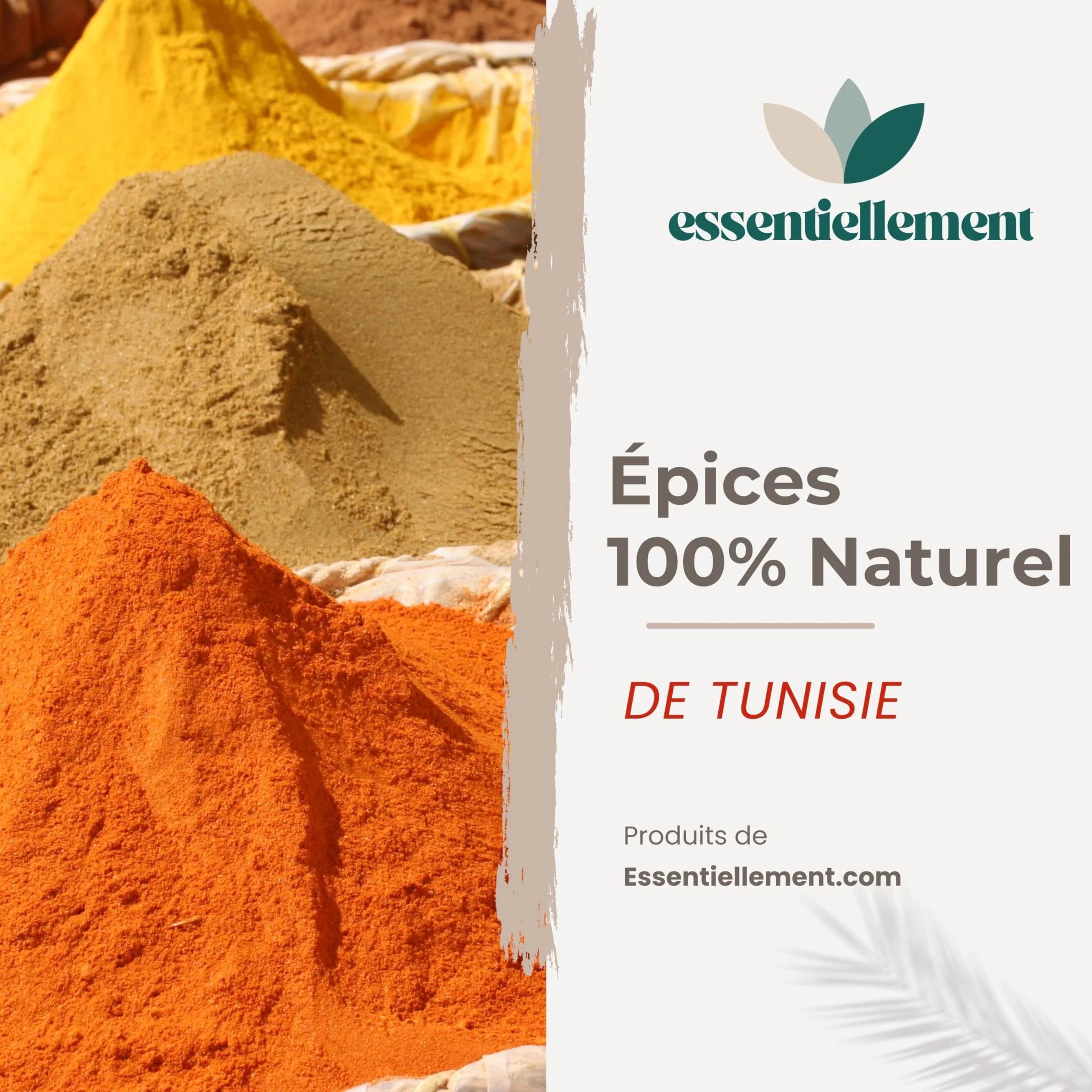 Carvi moulu - 100% Naturel et pur - en Poudre - préparation Artisanale de Tunisie - Haute qualité - 150gr - Sans Additifs, Sans Arôme Artificiel, Sans Conservateur