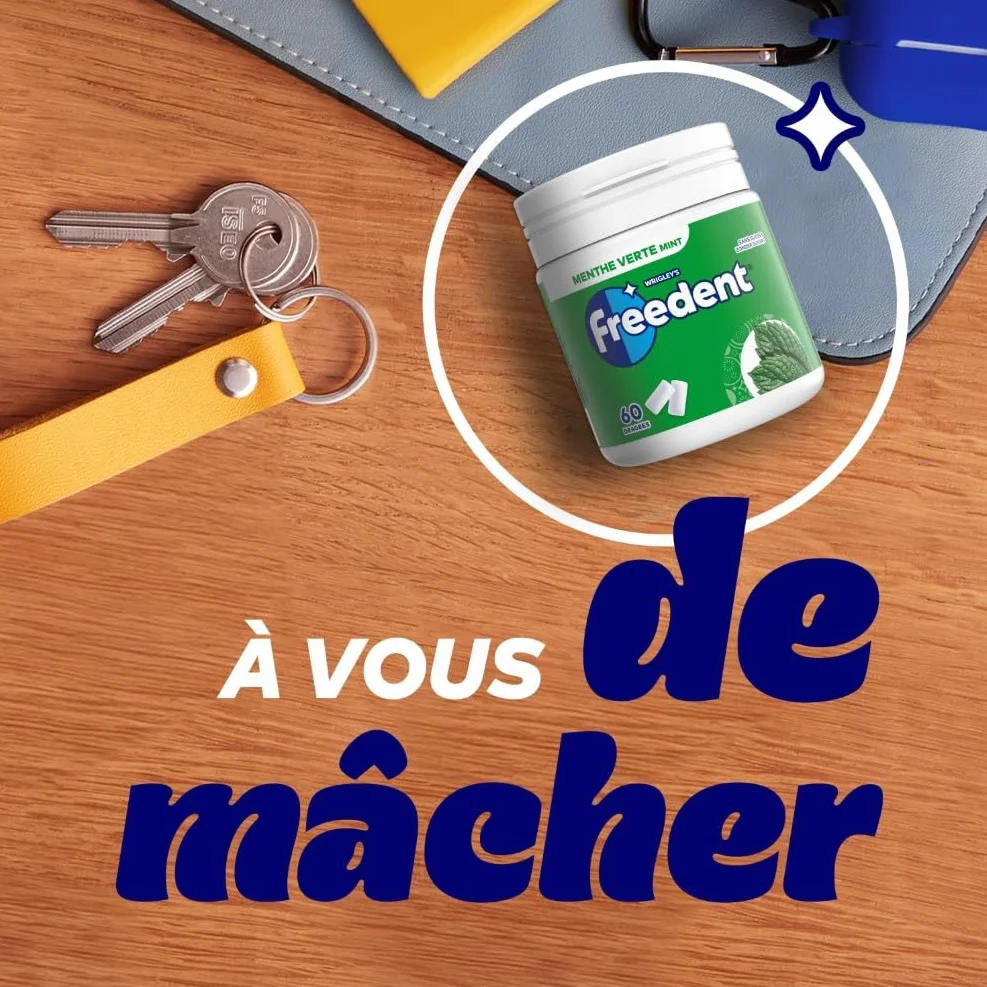 FREEDENT Chewing Gum Sans Sucre Goût Menthe Verte Boîte de 60 Dragées Grand Format