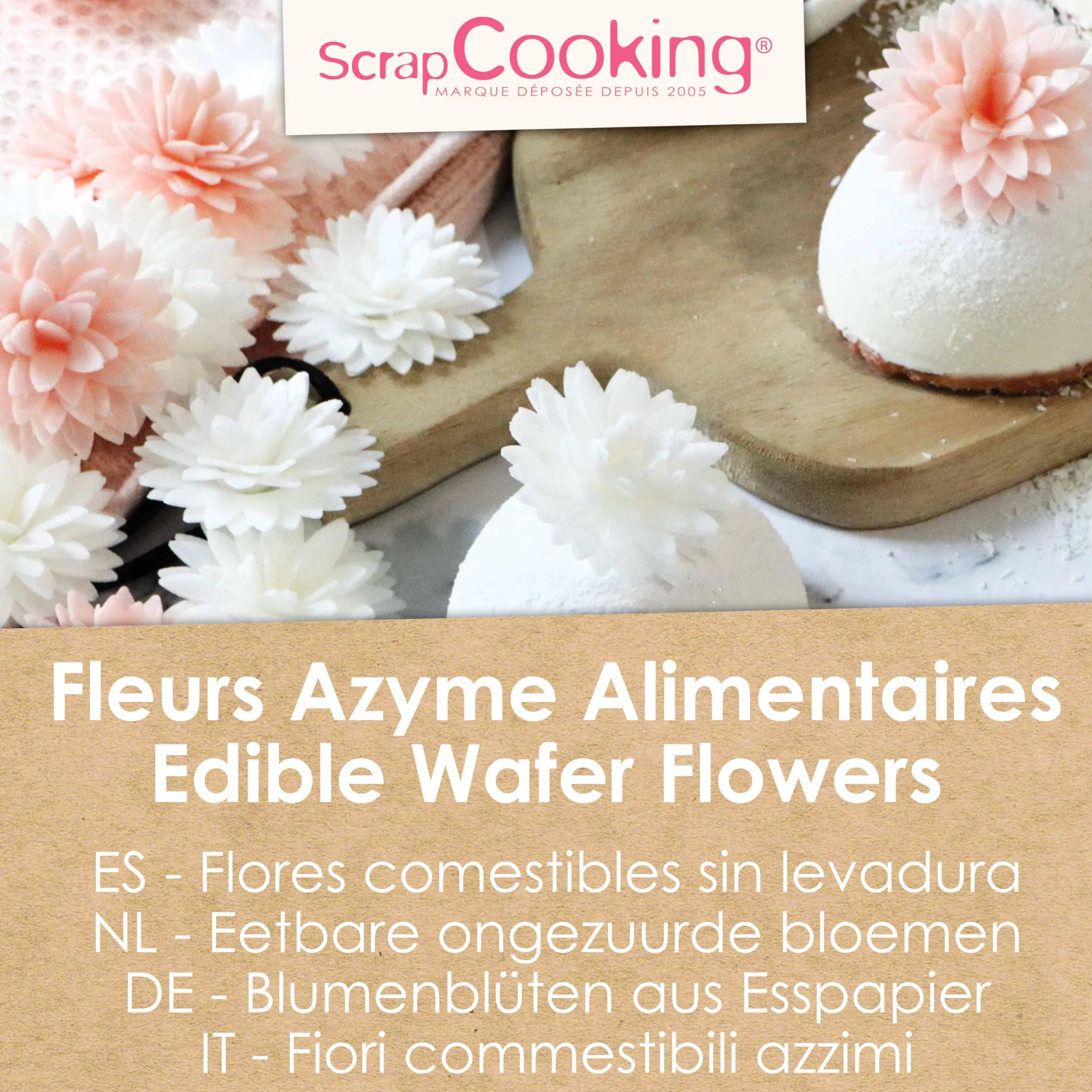 ScrapCooking - 5 Dahlias Blancs & Rose Pastel en Azyme - Fleurs Comestibles Décoration Gâteau - Déco Pièce-Montée, Cupcakes, Pâtisseries - Anniversaire, Mariage - 2297