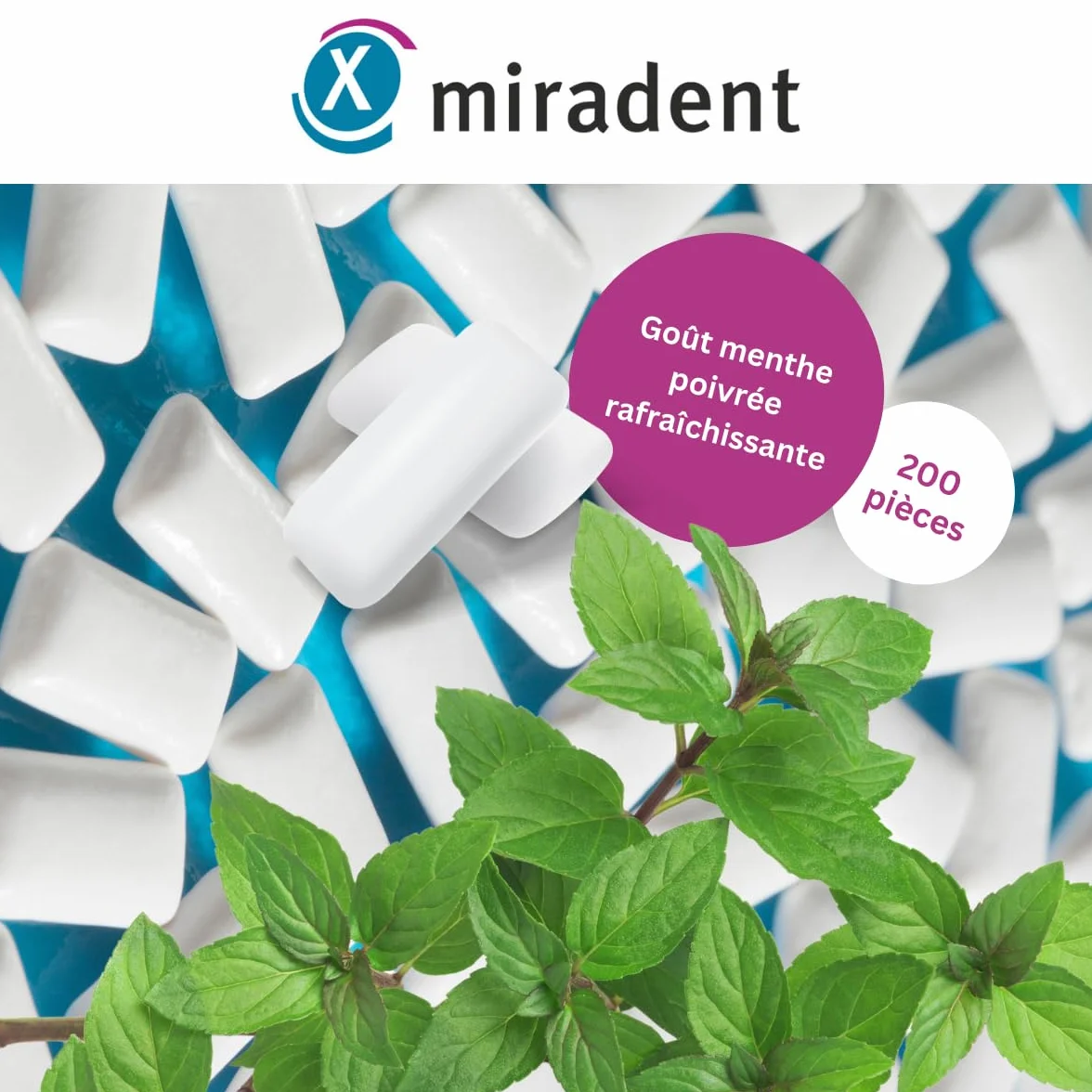 Miradent Chewing-gum dentaire au xylitol Pack économique 200 pcs goût Menthe poivrée sans sucre vegan