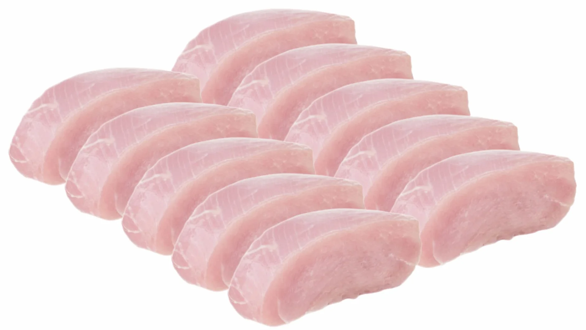 Escalope de dinde crue par lot de 10 - Volaille Origine France