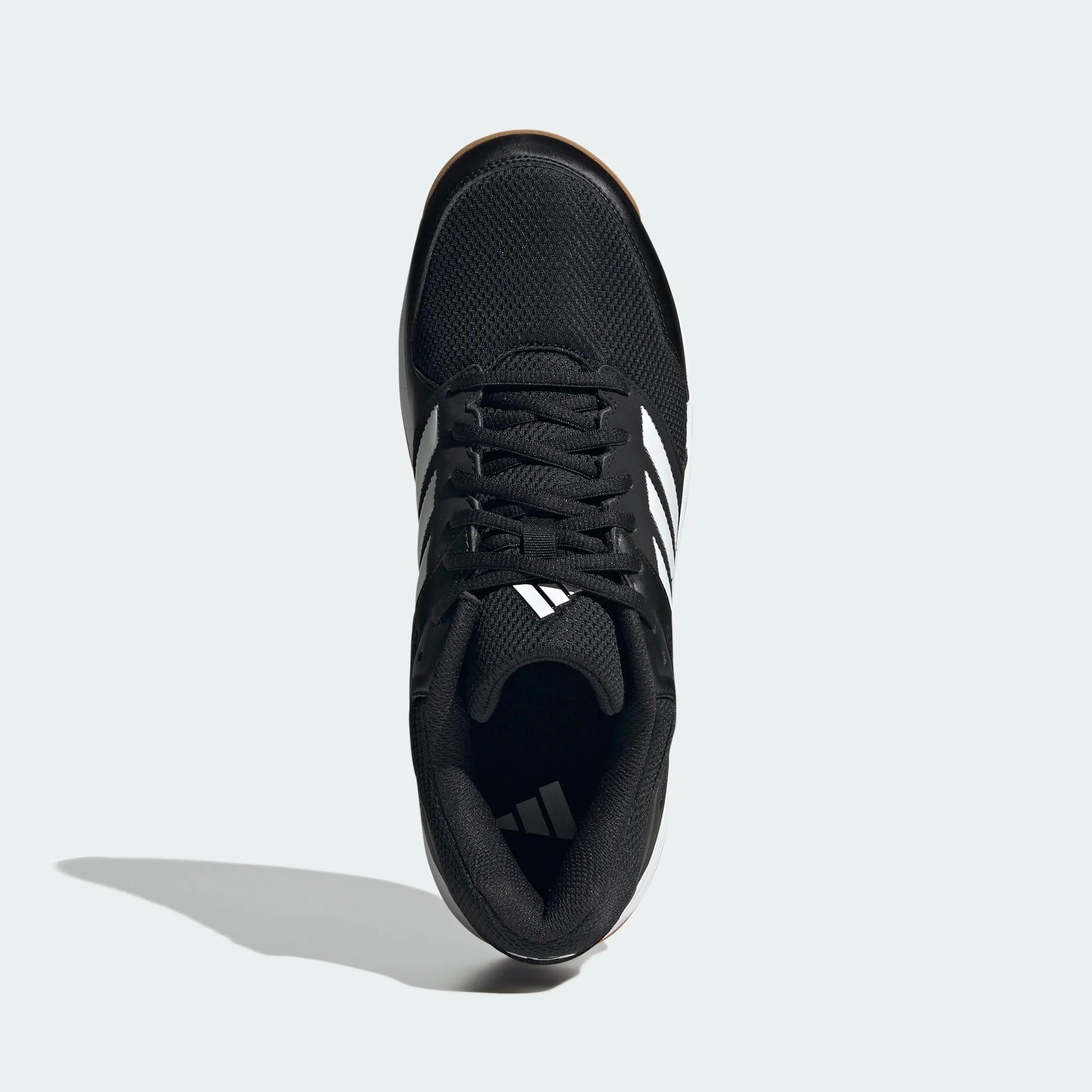 Adidas Speedcourt Indoor Men's Chaussure