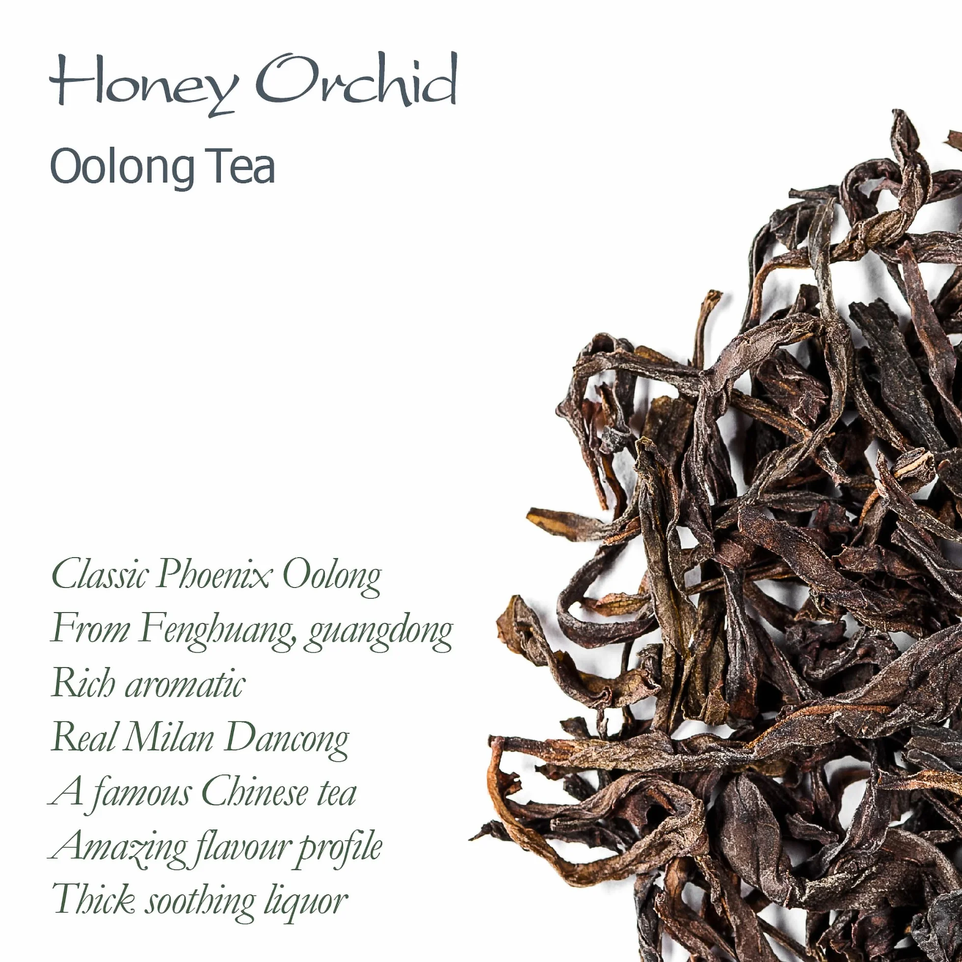 Oolong Honey Orchid - Phoenix Dan Cong du Guangdong | aux arômes floraux envoûtants pour une dégustation raffinée façon gong fu cha
