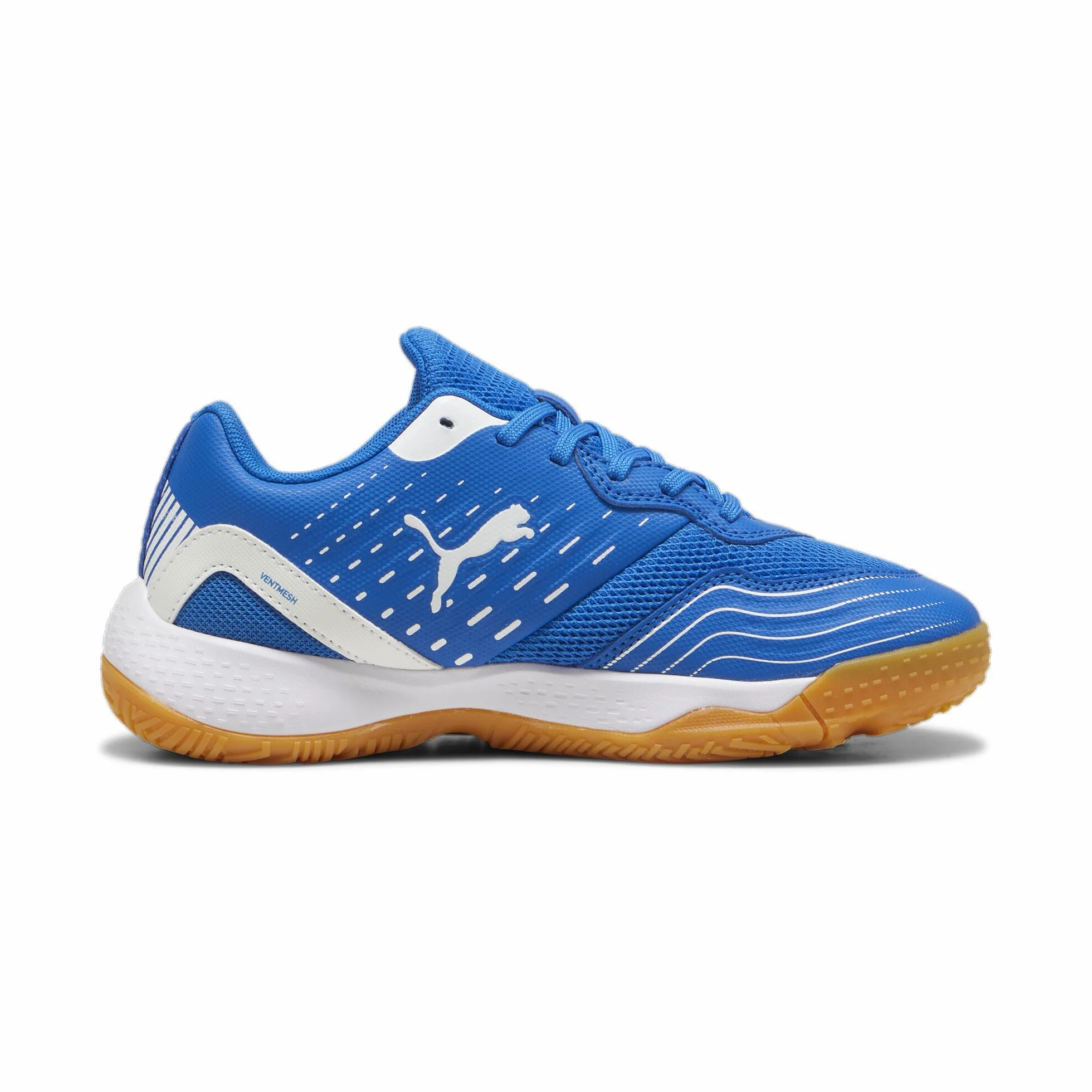 PUMA Chaussures de Sport Indoor Solarflash III Enfant Adolescent