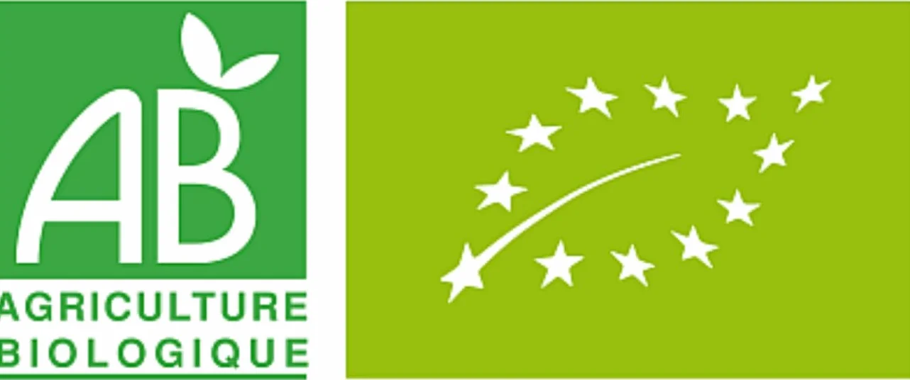 Miel Bio de Normandie (1 Kg), Délicieusement crémeux et récolté à froid | origine France | certifié BIOLOGIQUE | Naturel | Non chauffé | Non Pasteurisé | La Mare aux Abeilles.