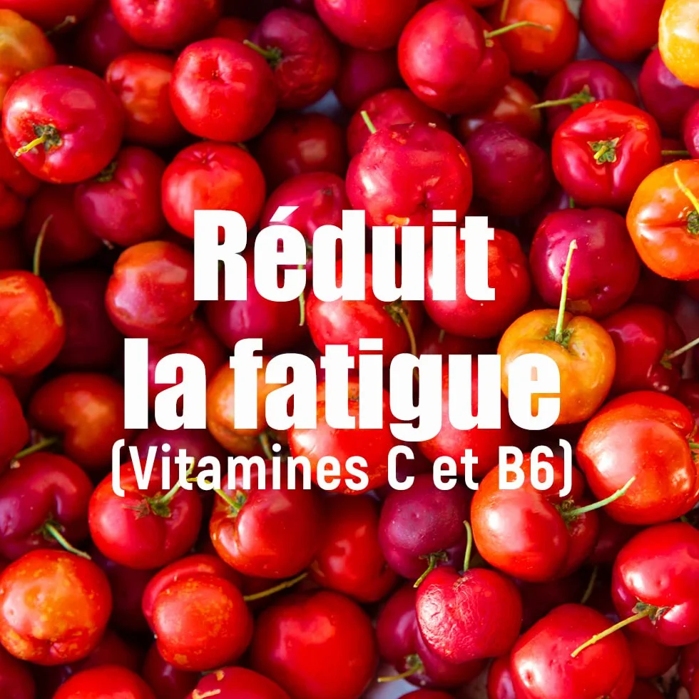 OVERSTIM.s– Boisson Hydrixir Antioxydant (600g) - Boisson énergétique isotonique pour le sport – Electrolytes (sodium,magnésium) – Vitamines (B1,B6,C,E) – Réduction de la fatigue - Saveur Menthe