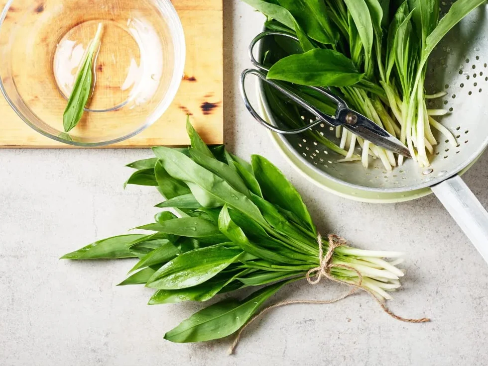 Taudì Conserve Pesto D'Ail Orsino Sauvage – Délice Sicilien 100% Naturel, Artisanal, Ingrédients Sélectionnés Pour Pâtes, Bruschettas & Plus, 180g en Pot De Verre Premium
