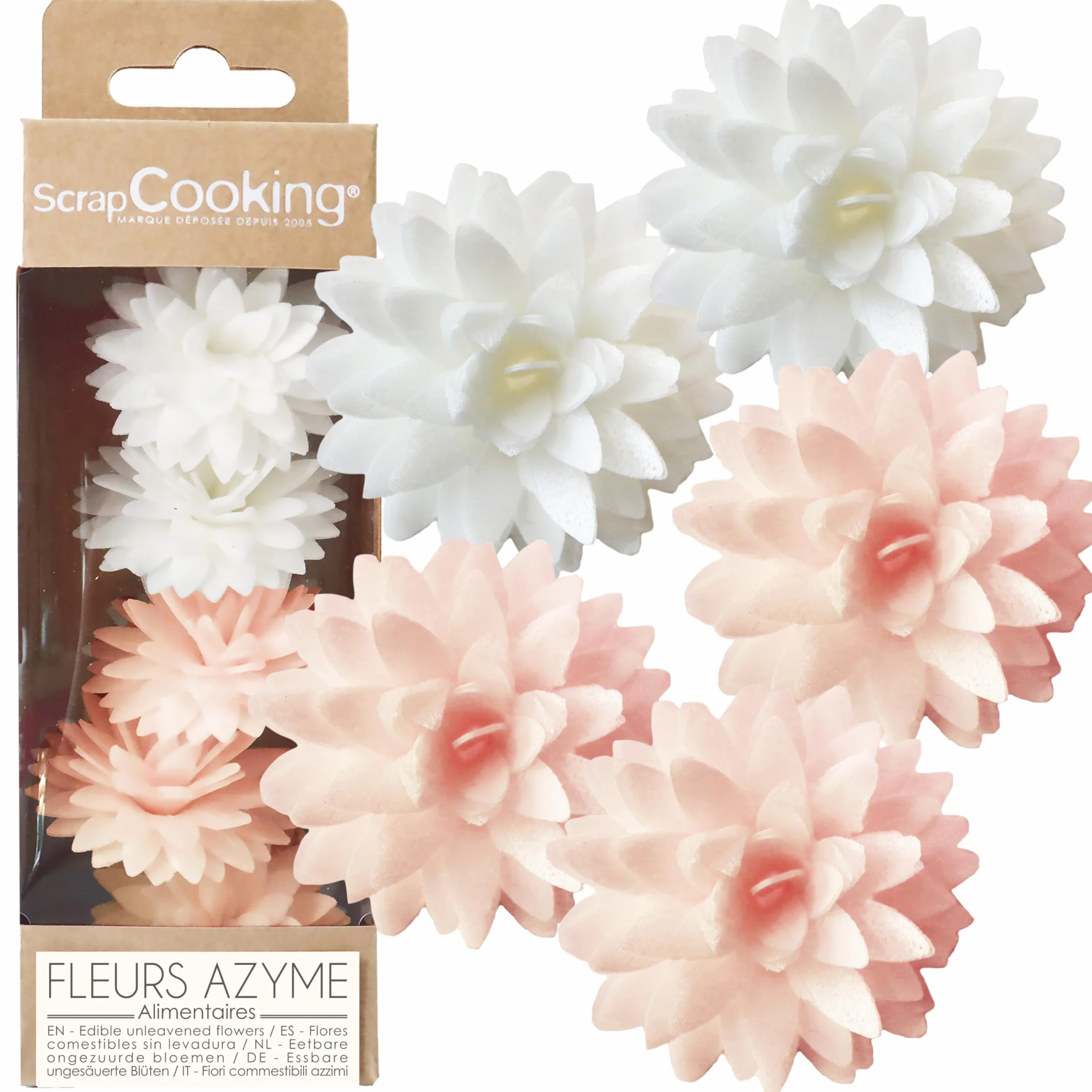 ScrapCooking - 5 Dahlias Blancs & Rose Pastel en Azyme - Fleurs Comestibles Décoration Gâteau - Déco Pièce-Montée, Cupcakes, Pâtisseries - Anniversaire, Mariage - 2297