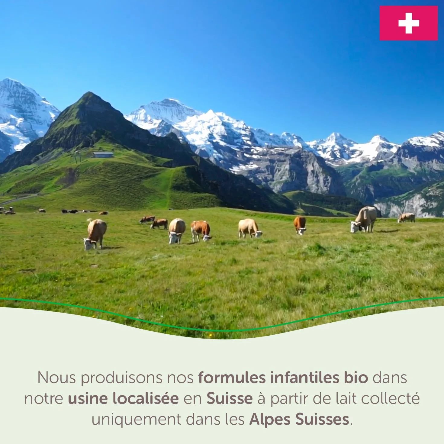 GUIGOZ BIO 1 Dès la naissance - Lait bébé 1er âge en poudre de 0 à 6 mois - Boîte de 800g
