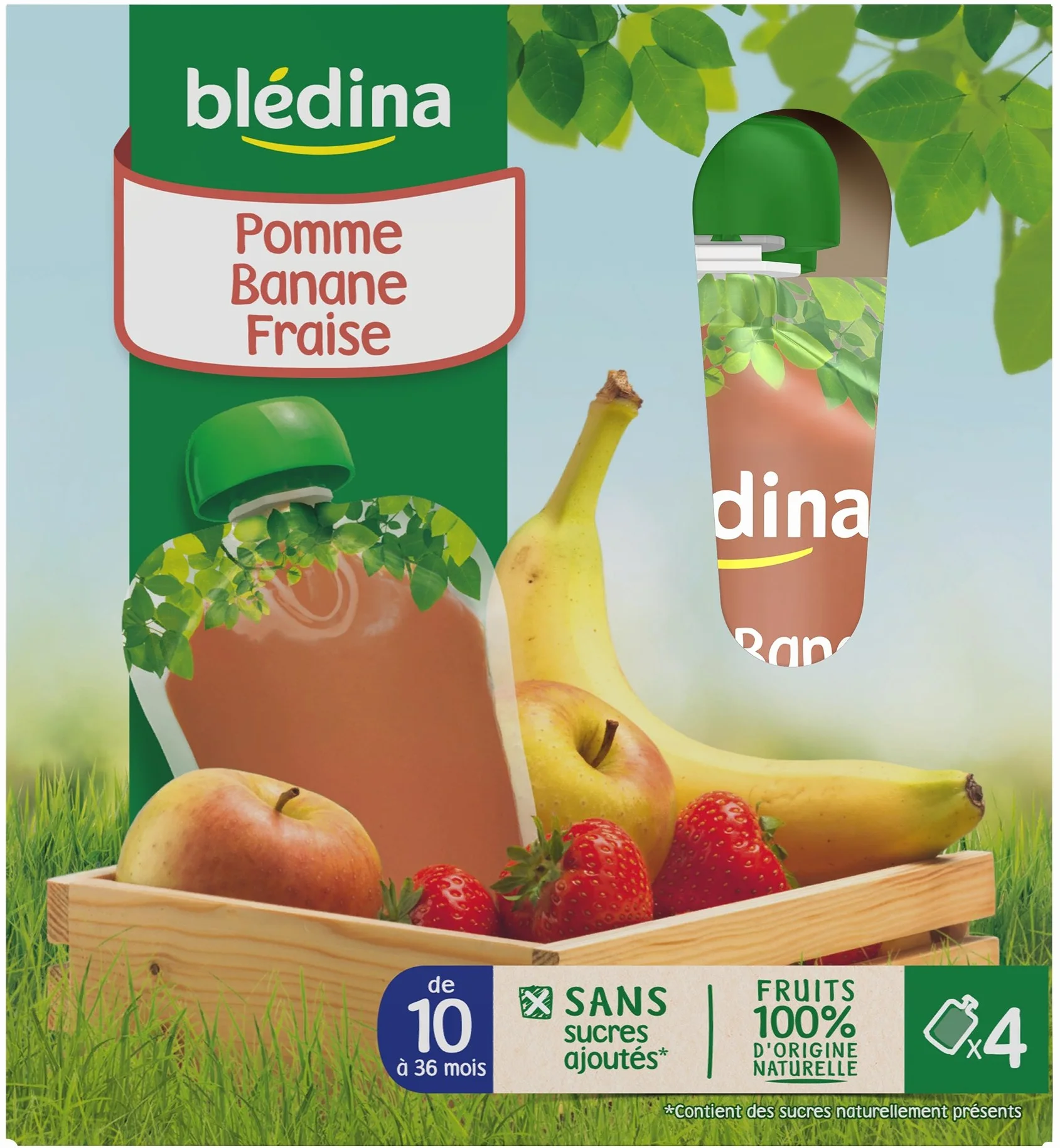 Blédina Gourdes Pomme Banane Fraise de 10 à 36 mois 4 x 90 g - Pack de 4