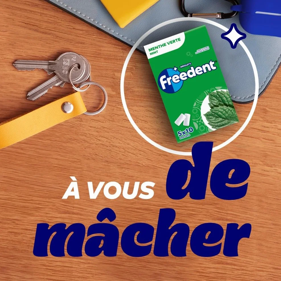 FREEDENT Chewing Gum Sans Sucre Goût Menthe Verte 5 Paquets 70g