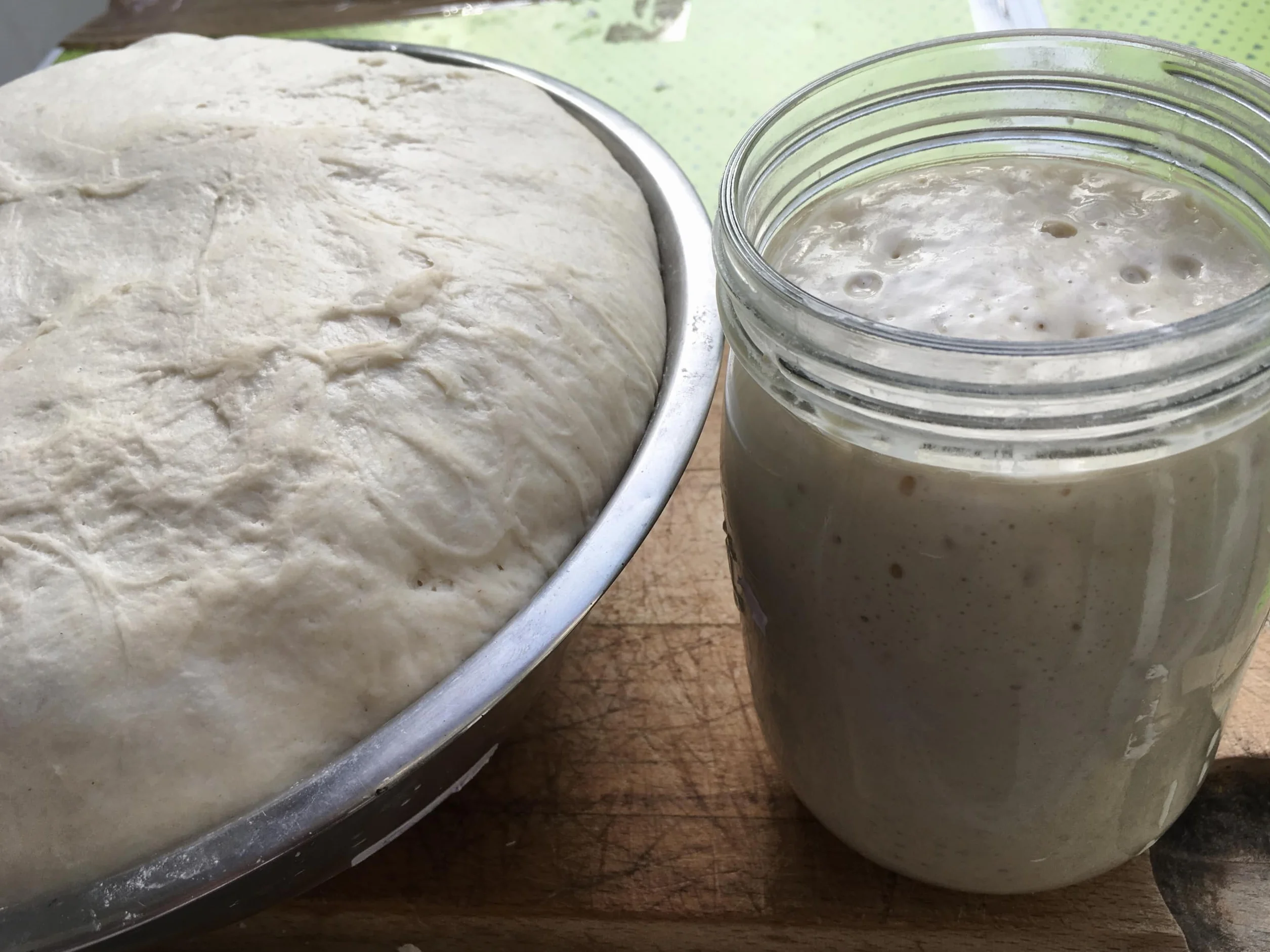 MYLEVAIN Levain Biologique Naturel Français Vivant (Millésime 2009) - Réveil rapide 24H
