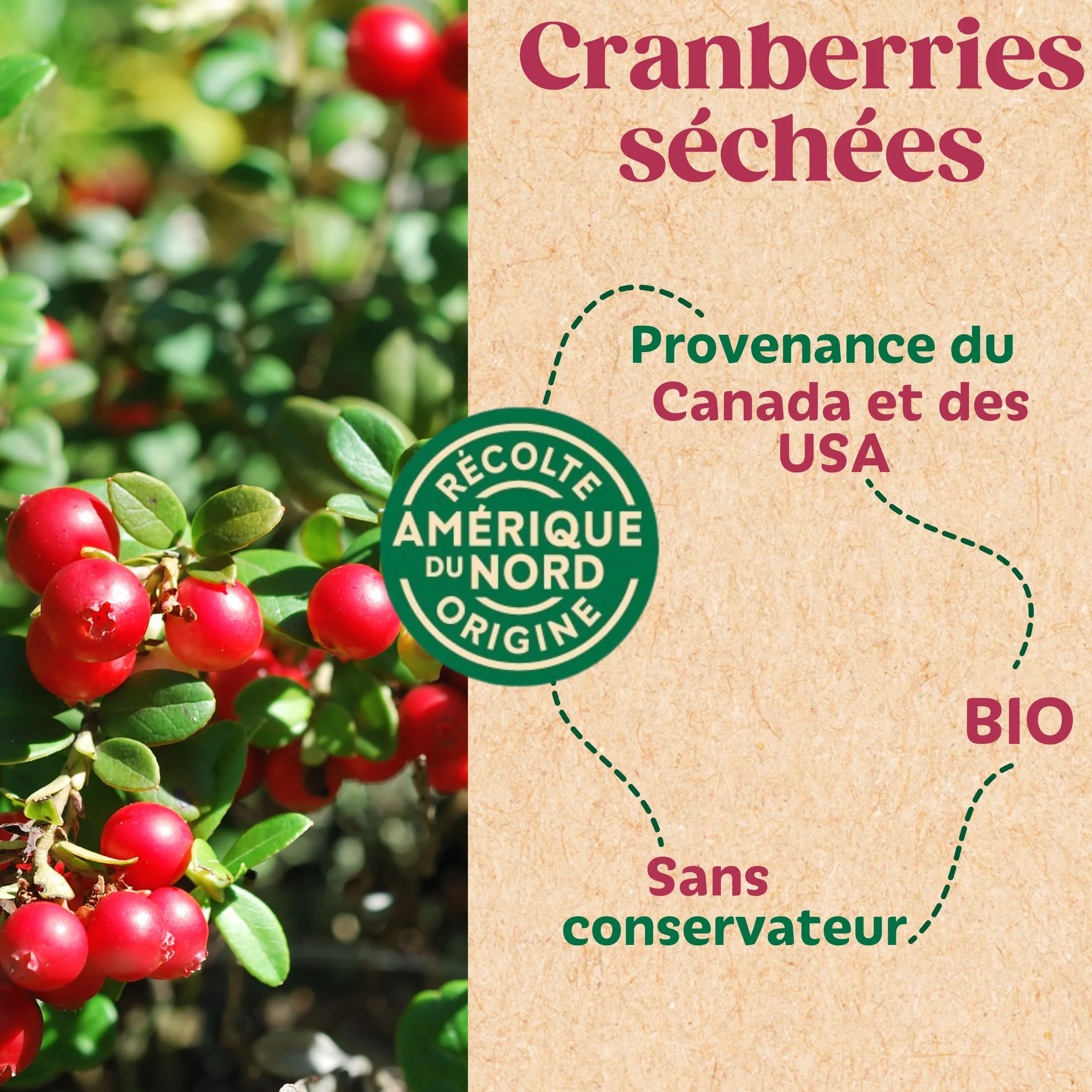 La Favorite - Cranberries Séchées 125 g - Canneberges Entières - Tendres & Savoureuses - Baie Cranberry – Légèrement Sucrées - Pour Encas Sain, Apéritif, Cuisine, Pâtisserie