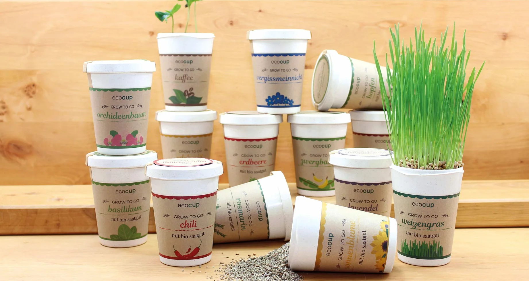 Feel Green Ecocup, Houblon, Idée Cadeau (100% Ecologique), Grow-Your-Own/Kit Prêt-à-Pousser, Plantes Dans Coffee Cup 10 x 8 cm, Produit En Autriche