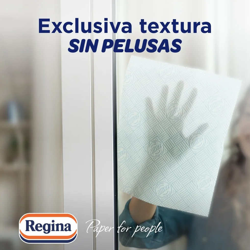 Regina Blitz Lot de 5 rouleaux de papier de cuisine 100 feuilles maxi à 3 couches Idéal pour nettoyer les surfaces domestiques Sans peluches Emballage en papier recyclable