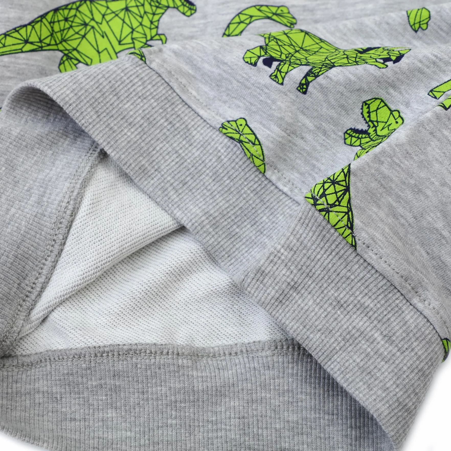 Sweatshirt Garcon Pull Enfant Dinosaure Manches Longues Coton 2-7 Ans