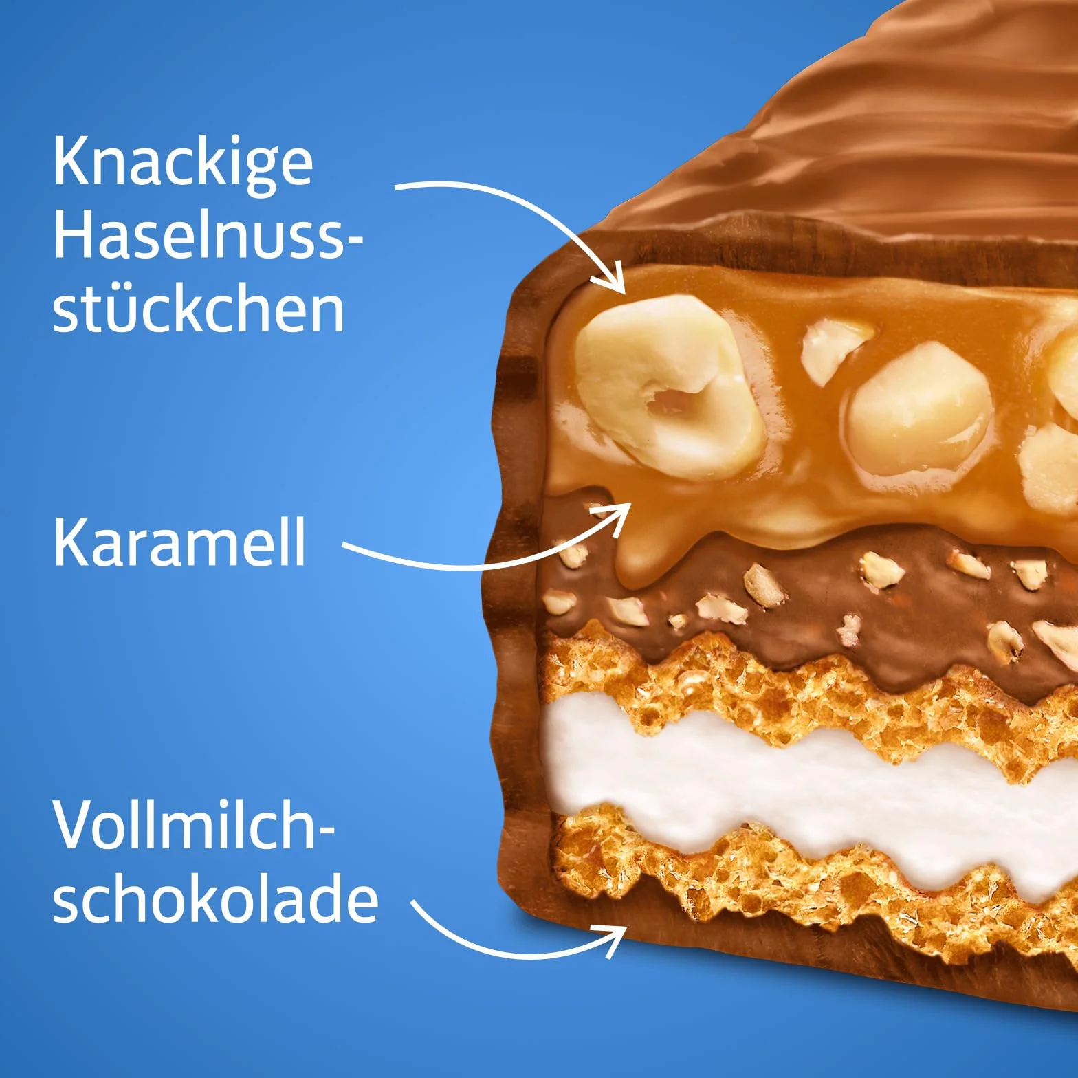 Knoppers Nut Bar - Barre chocolatée aux noisettes et lait, boîte de 24 barres