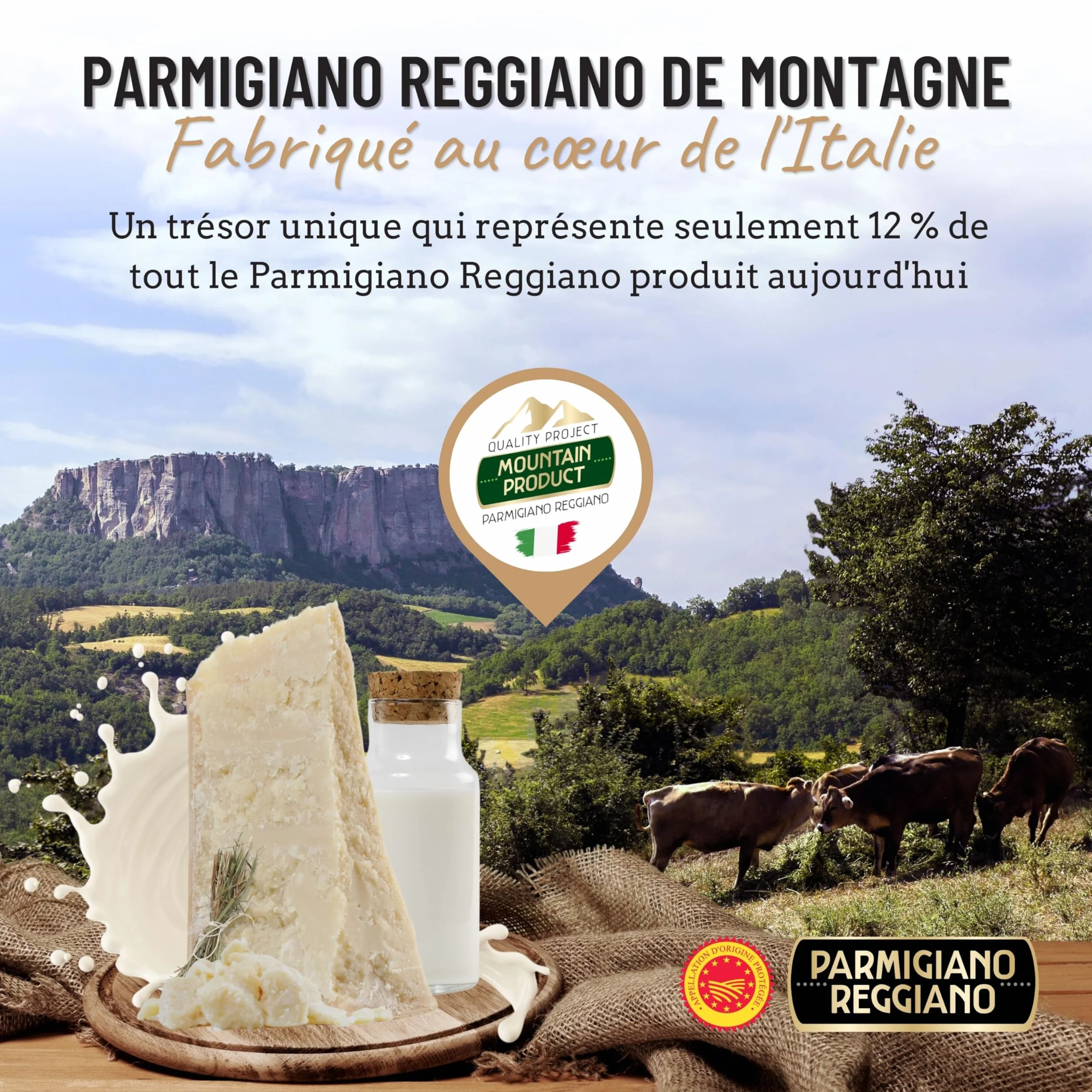 GUSTOEMILIA Montagne Parmigiano Reggiano Fromage 30 Mois Affiné - Idéal pour les Pâtes, le Pain, les Salades, les Collations et les Fruits - Fromage Parmesan Affiné Italien 1,1 lb (500g)